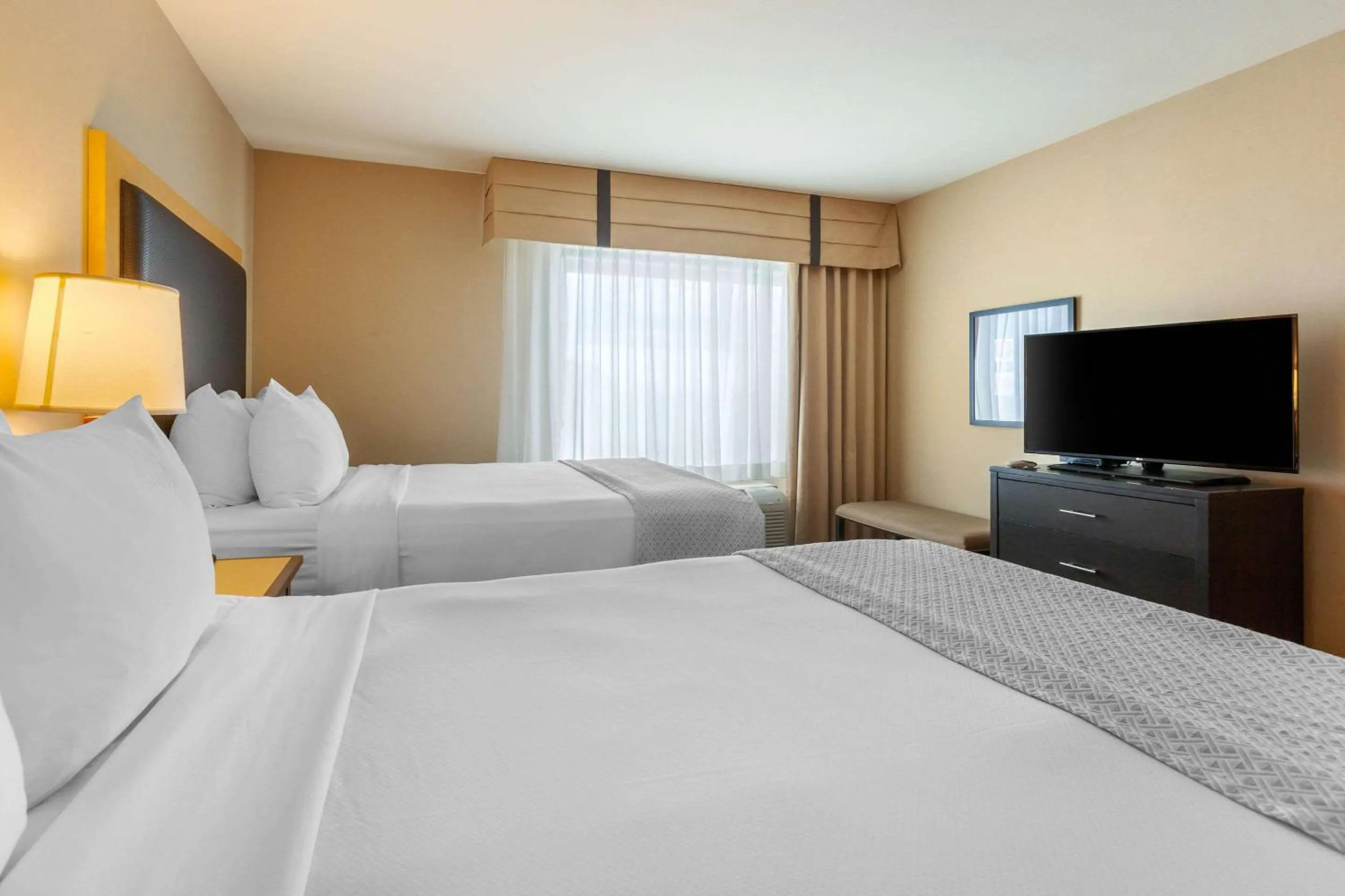 Bedroom in Cambria Hotel Ft Collins