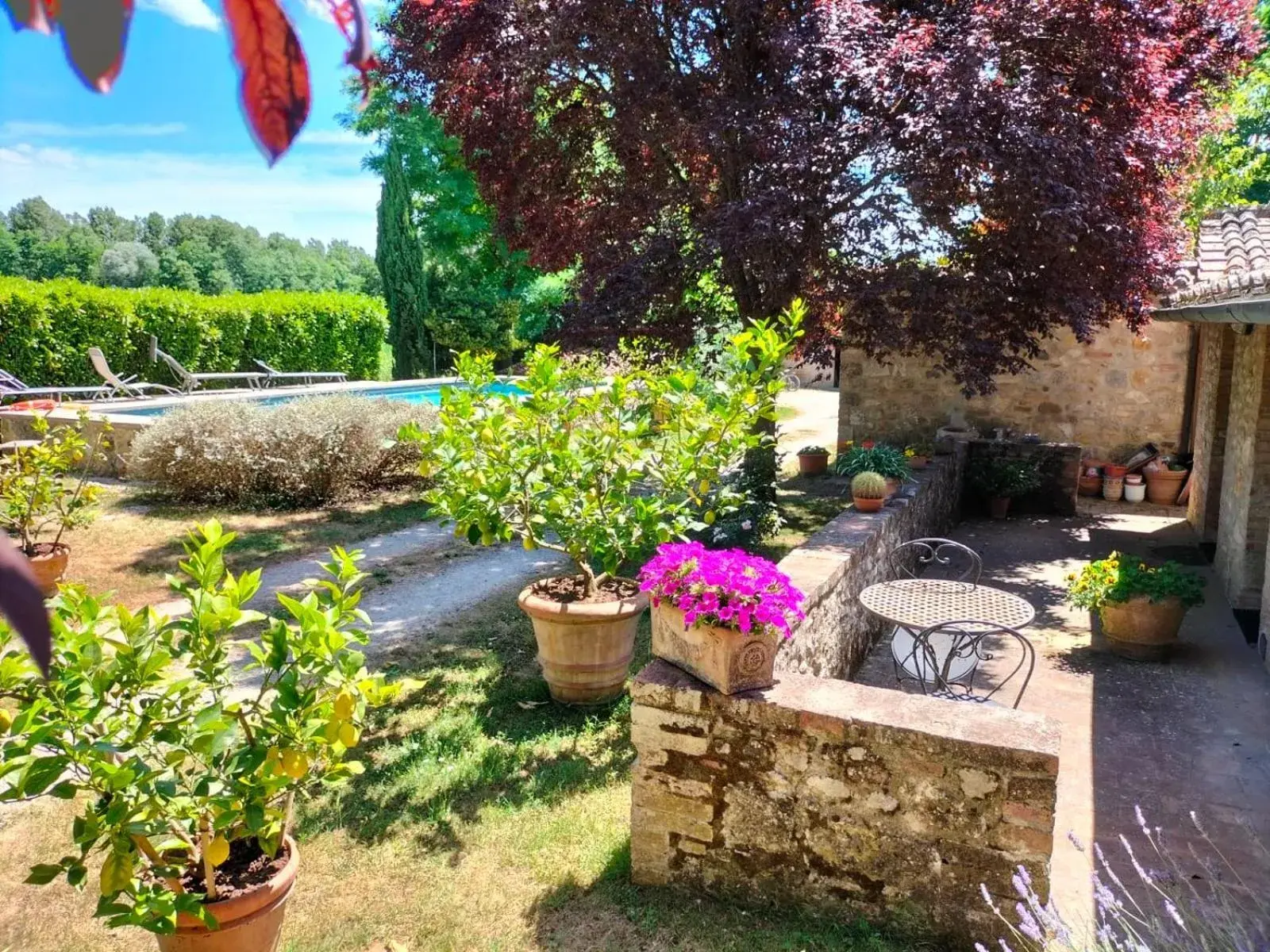 B&B Palazzo a Merse B&B Palazzo a Merse