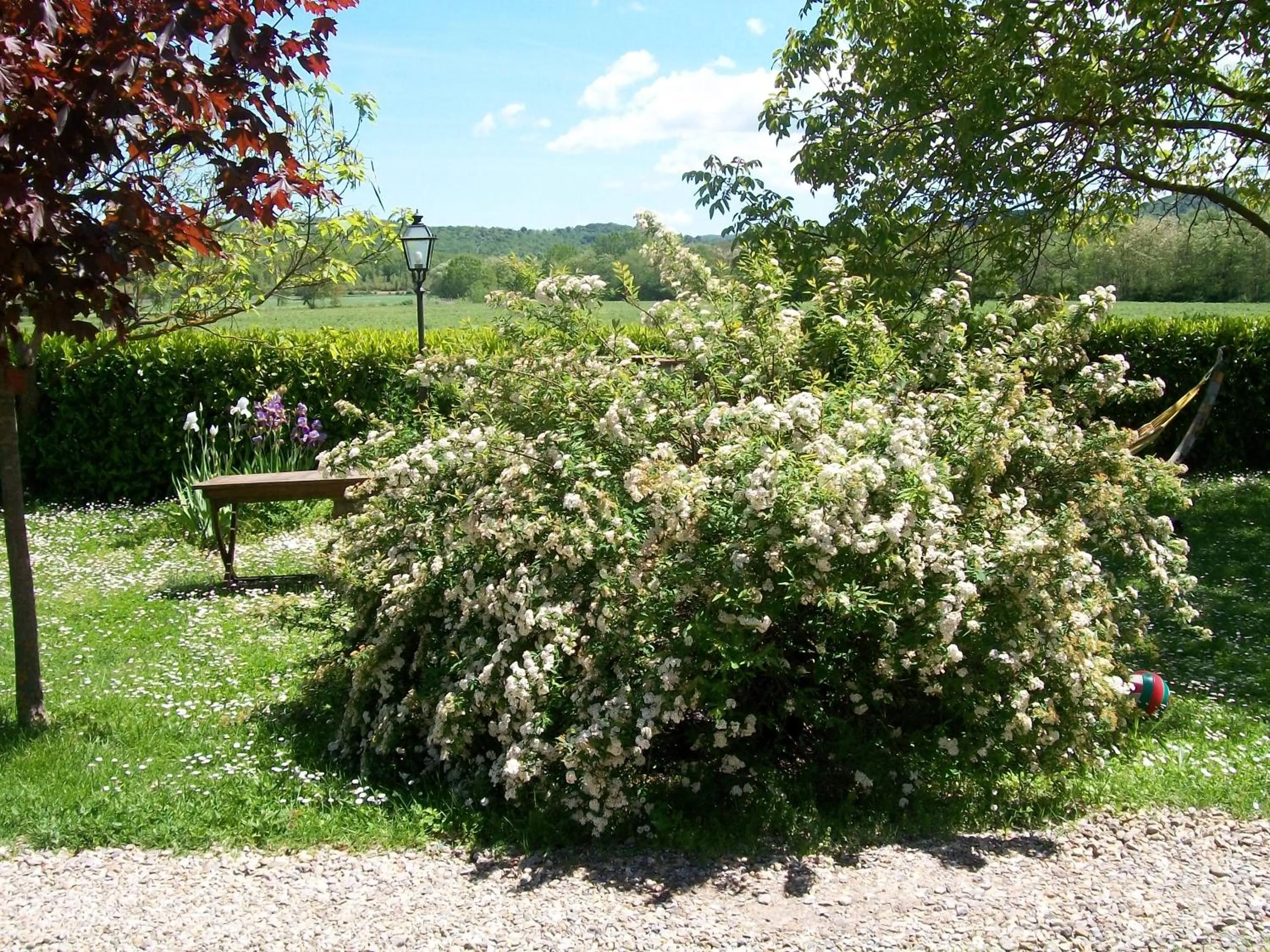 Garden view in B&B Palazzo a Merse