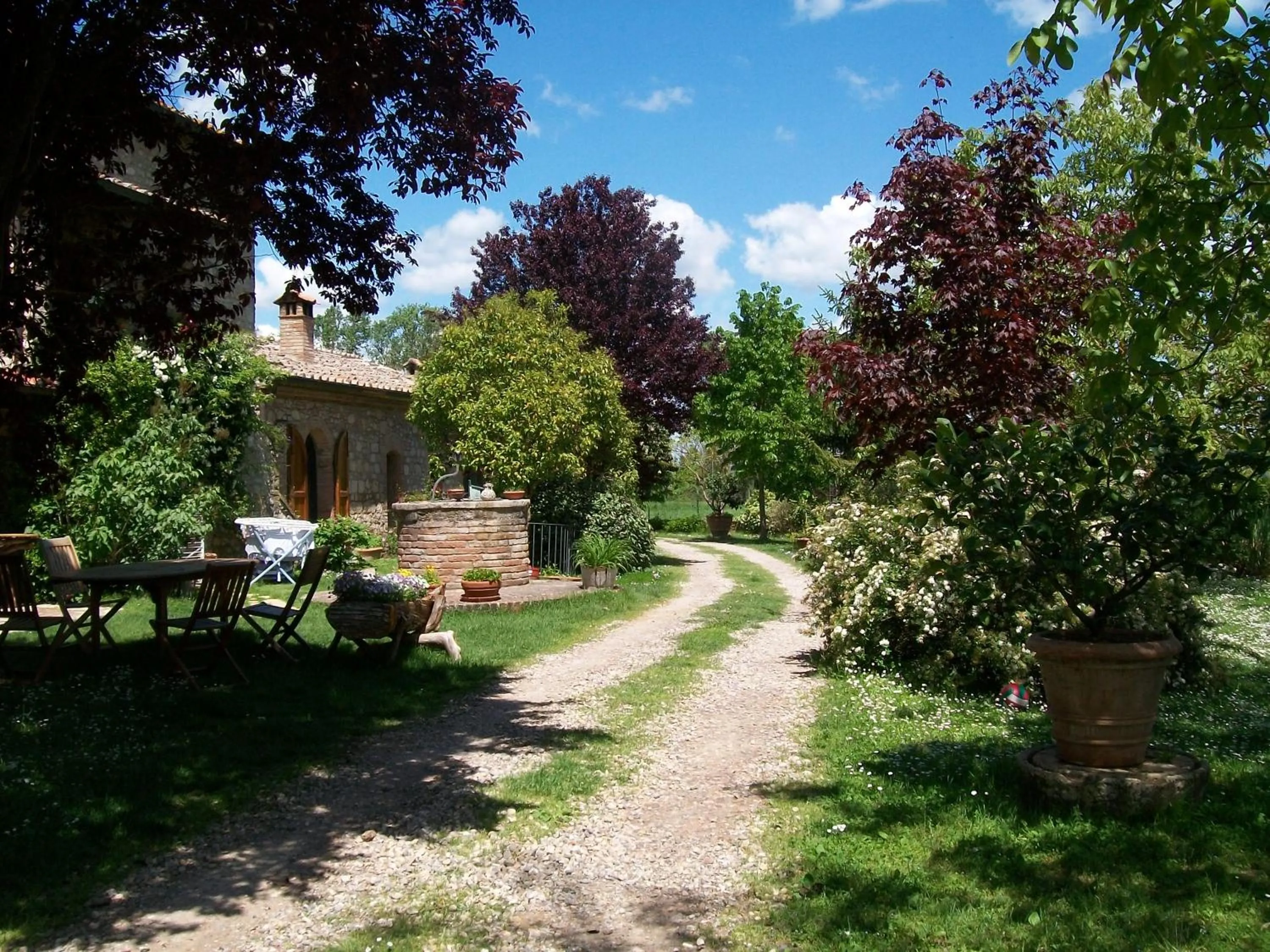 Garden in B&B Palazzo a Merse