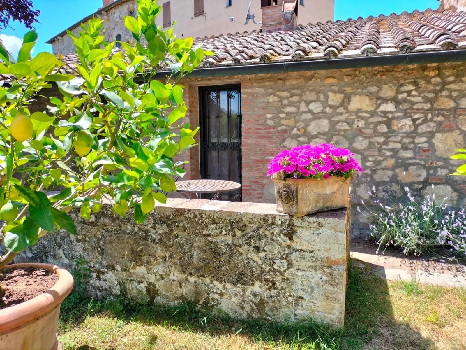 Property building in B&B Palazzo a Merse