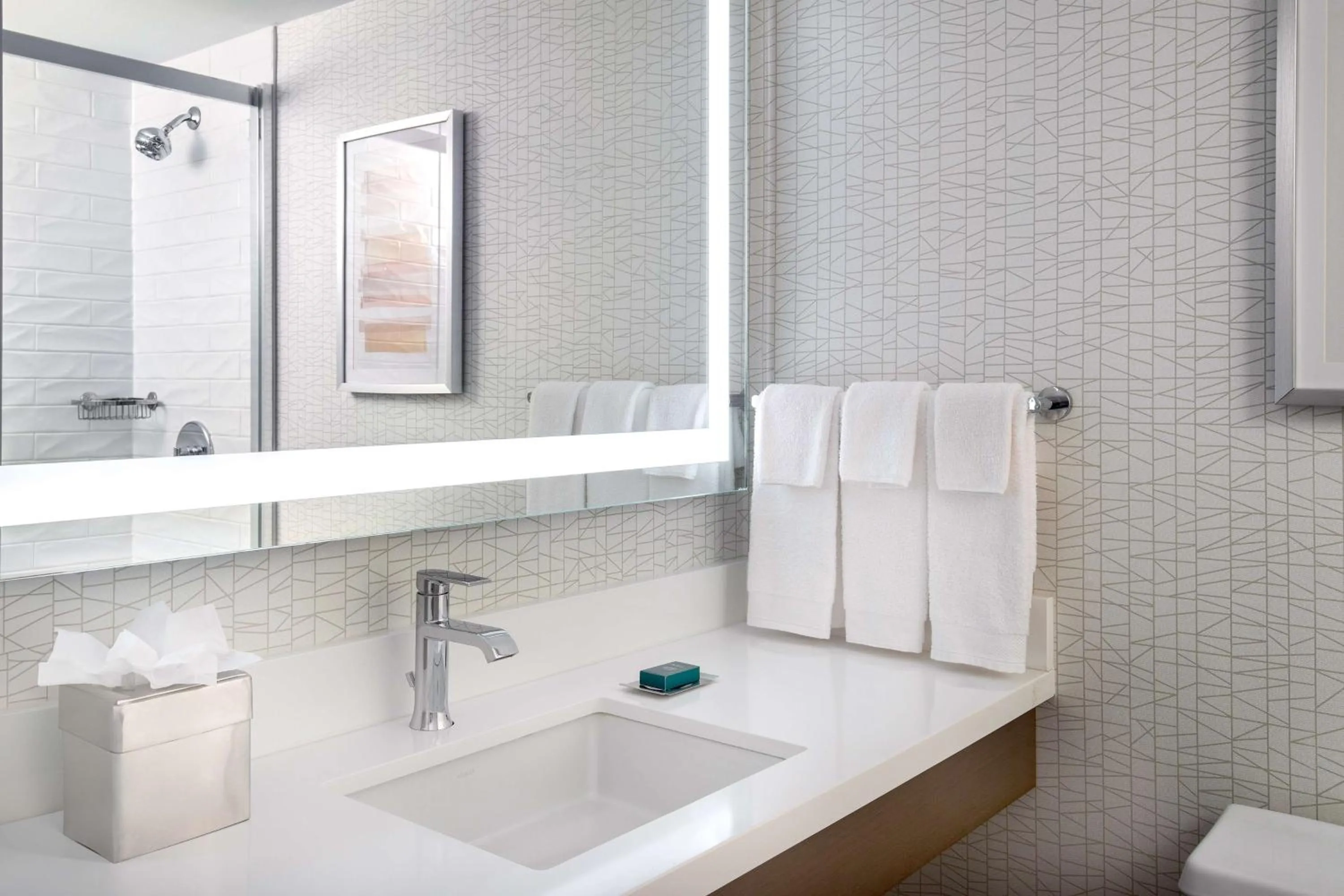 Bathroom in DoubleTree by Hilton Hotel and Conference Center Chicago North Shore