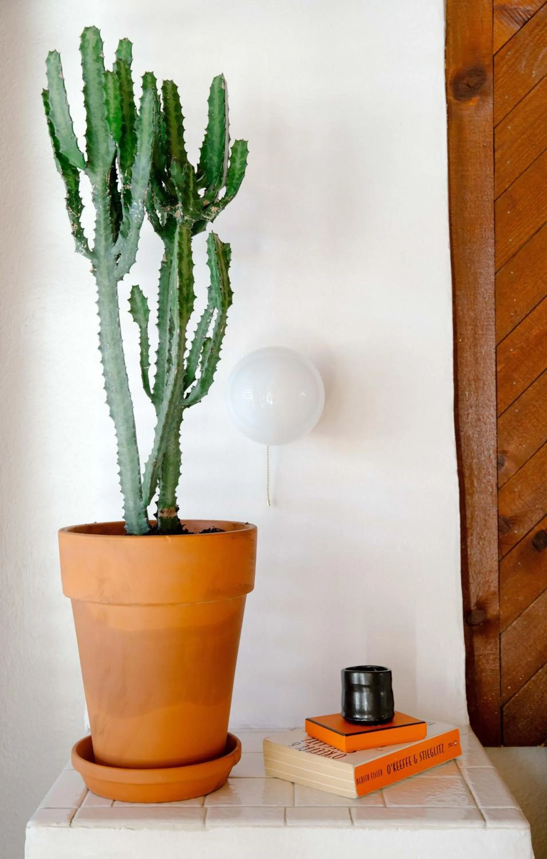 Other in El Rey Court