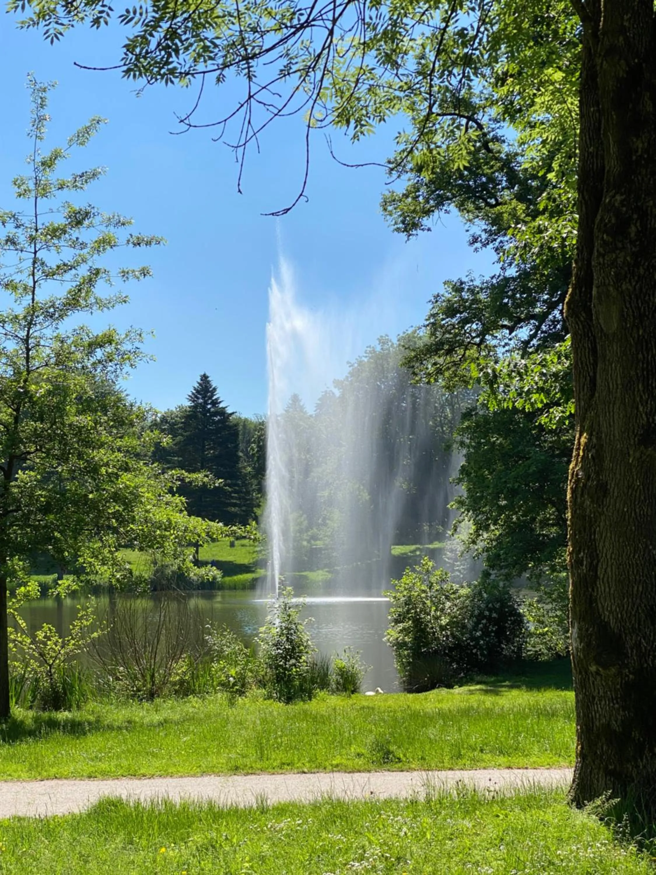 Natural landscape in Café-Hotel Gutshof