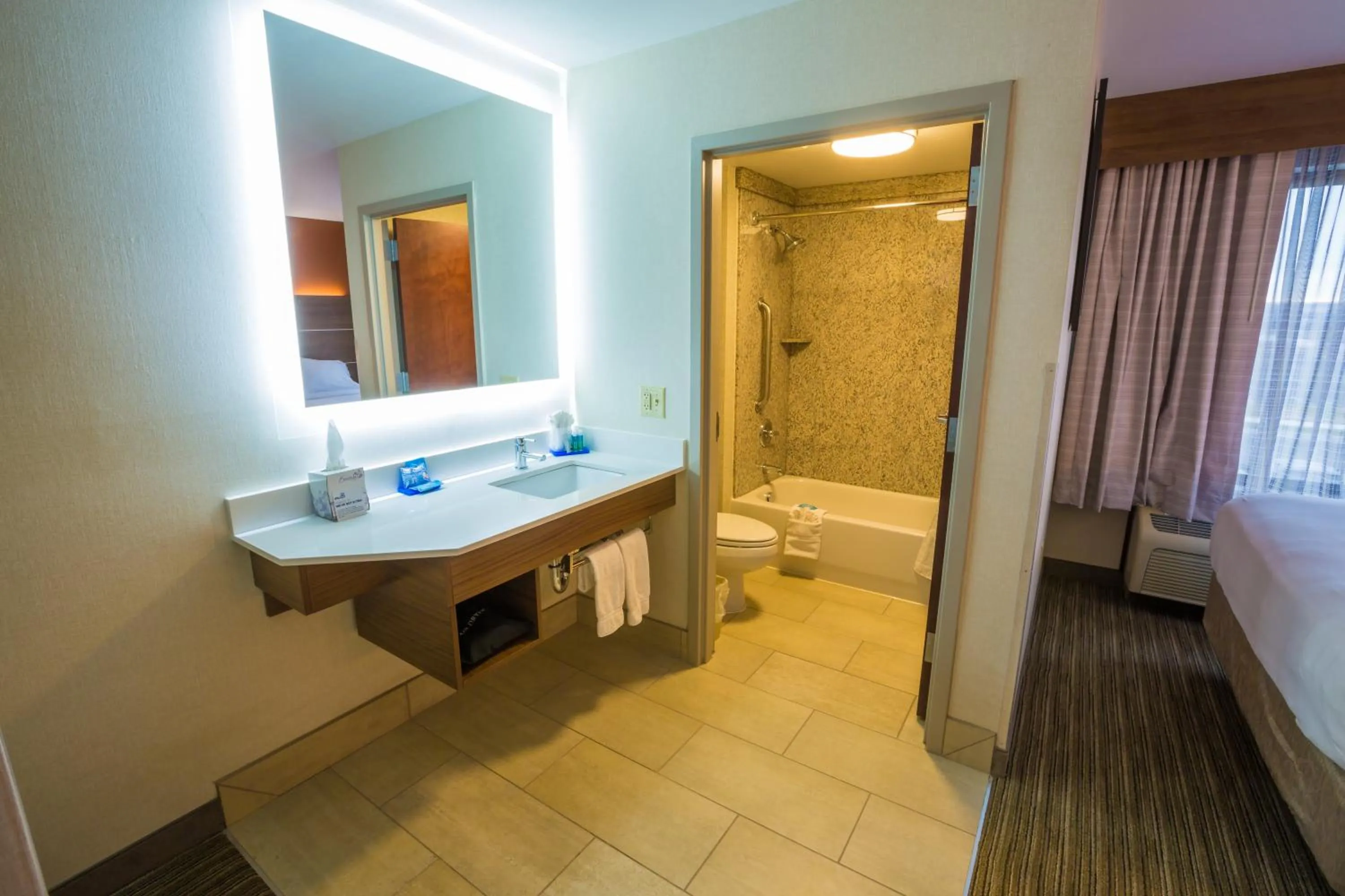 Bathroom in Holiday Inn Express Hotel & Suites Pasco-TriCities by IHG