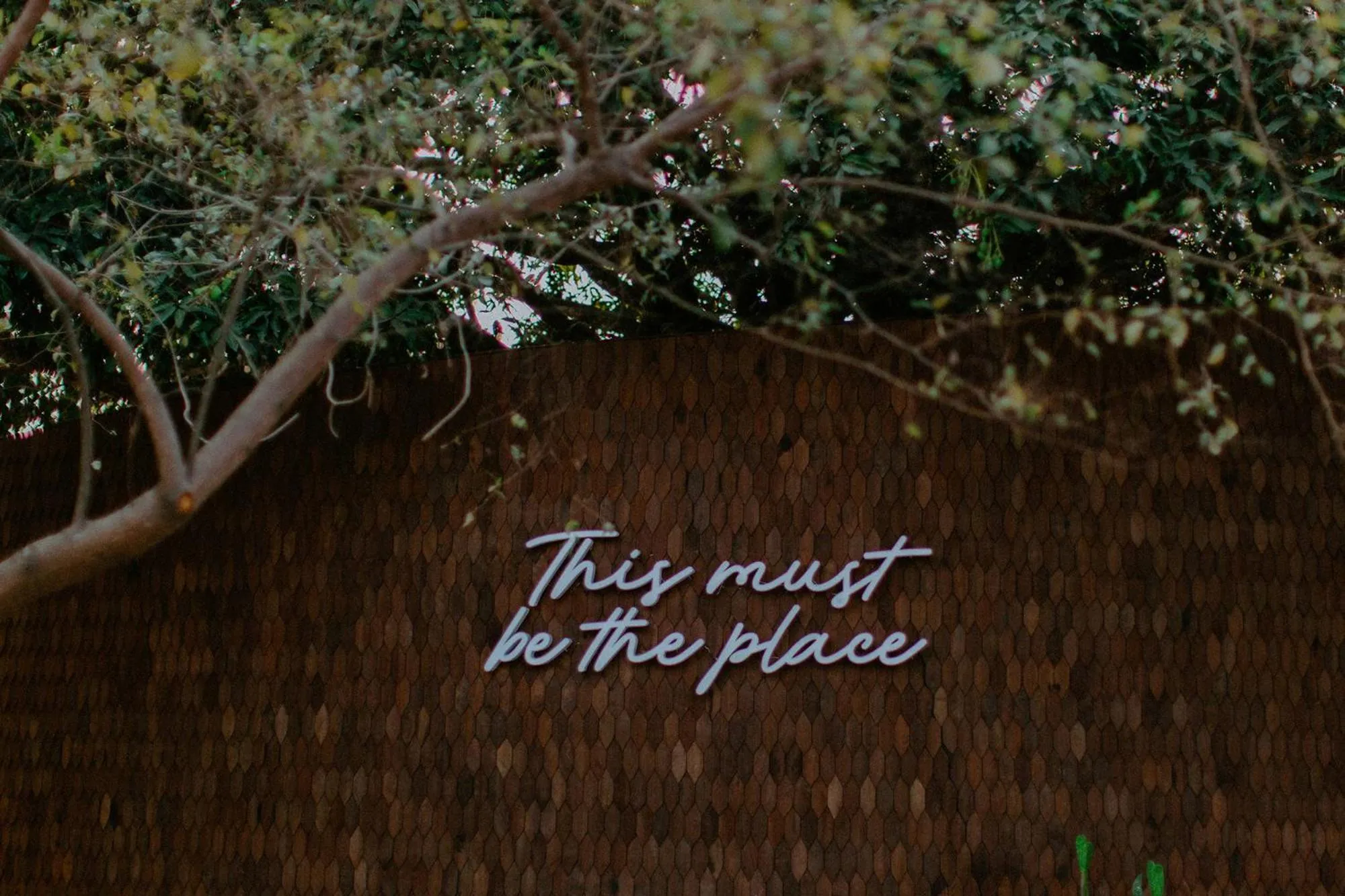 Property building in Batan Sabo & Co