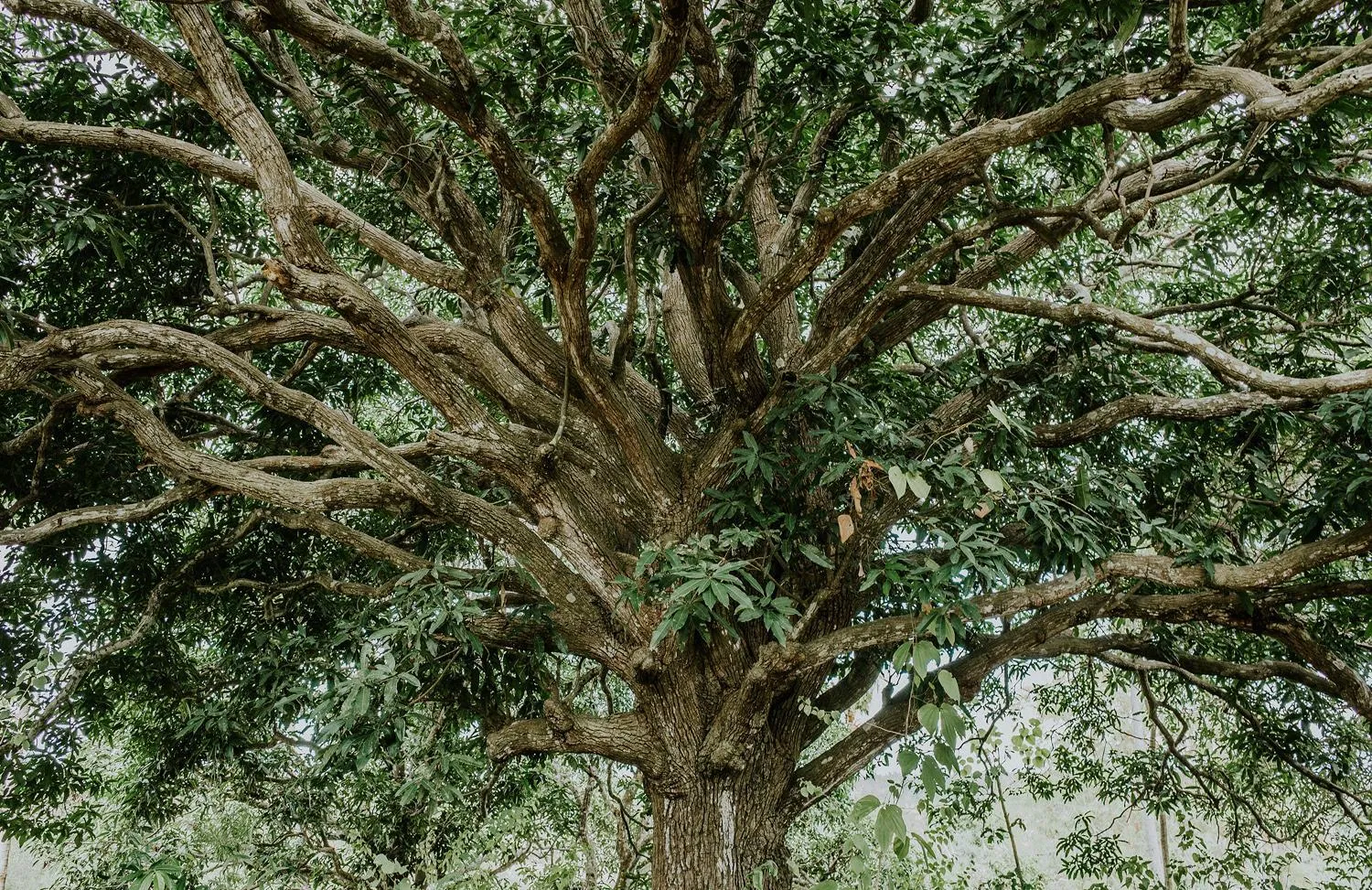 Restaurant/places to eat in Batan Sabo & Co