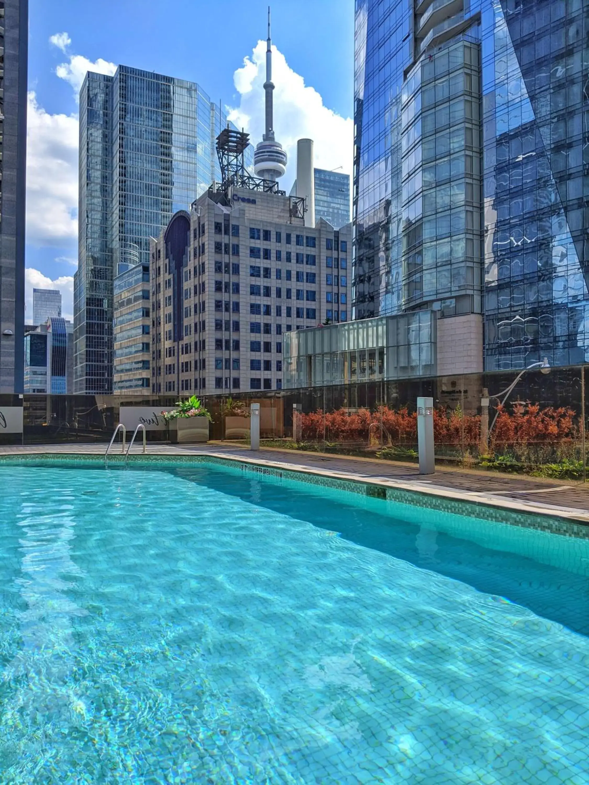 Pool view in Hilton Toronto Pool view in Hilton Toronto