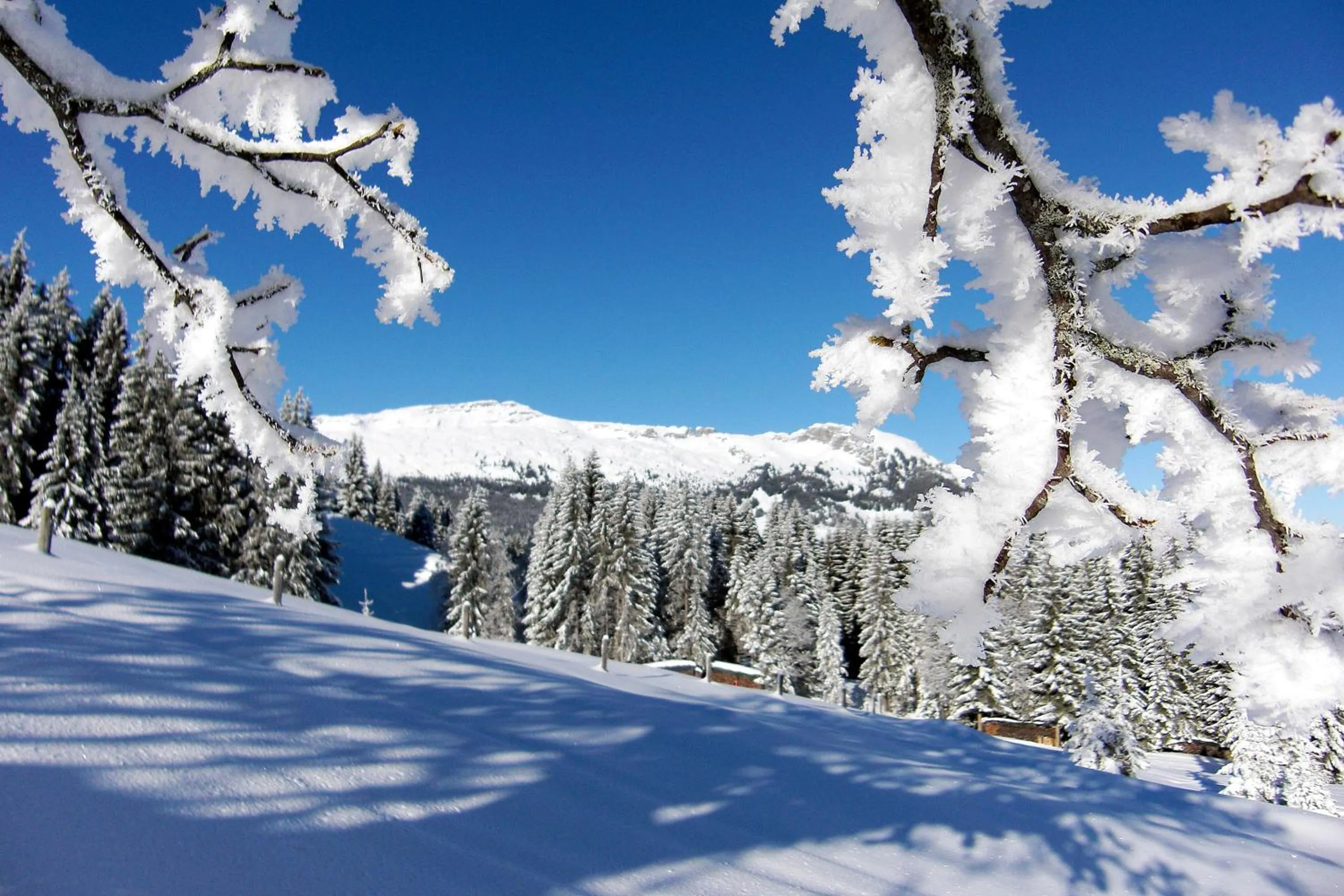Natural landscape in Hotel Sörenberg