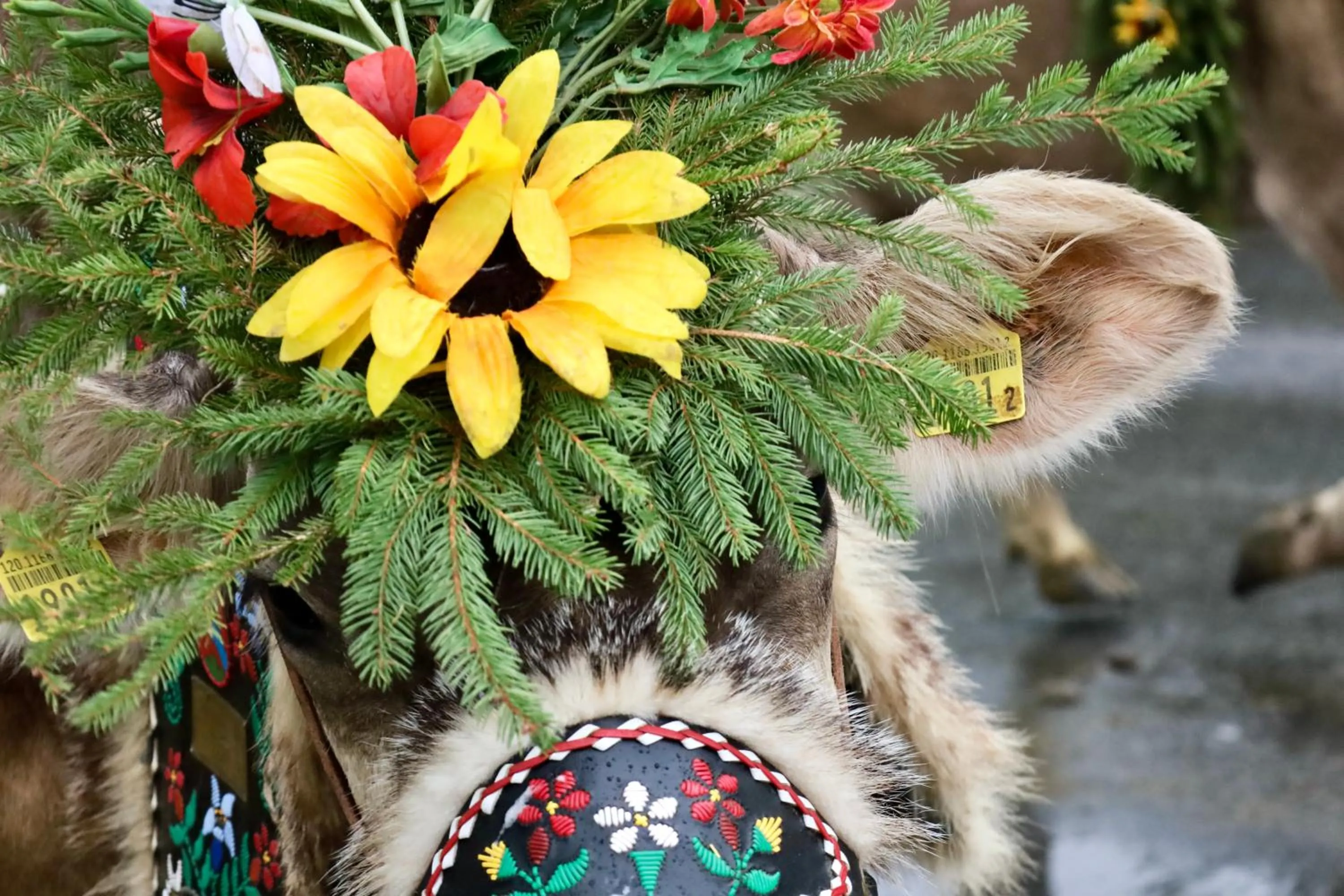 Landmark view in Hotel Sörenberg