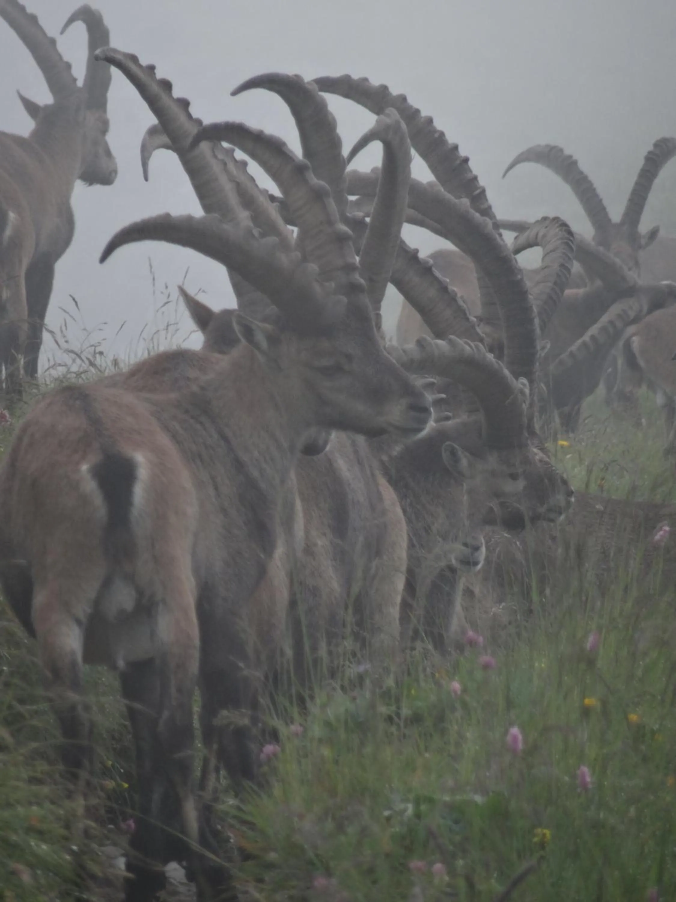 Hiking in Hotel Sörenberg