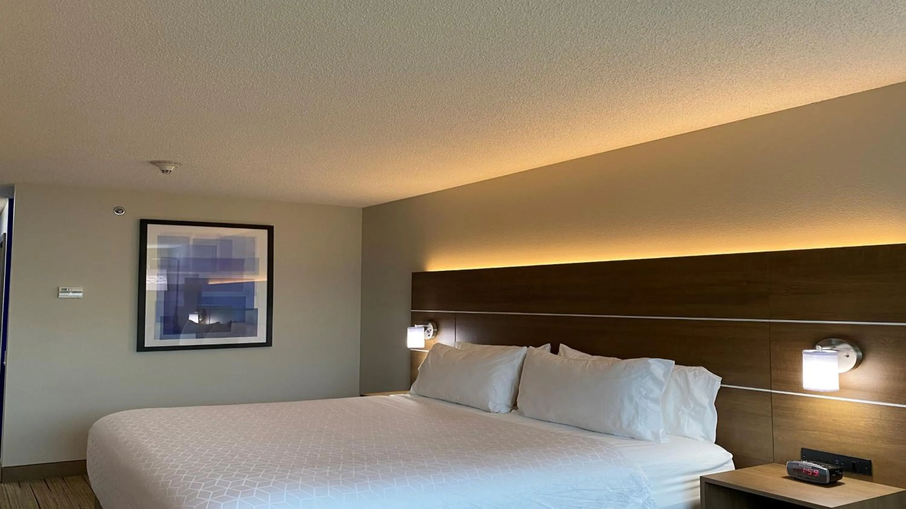 Photo of the whole room, Bed in Holiday Inn Express Hotel & Suites Somerset Central by IHG