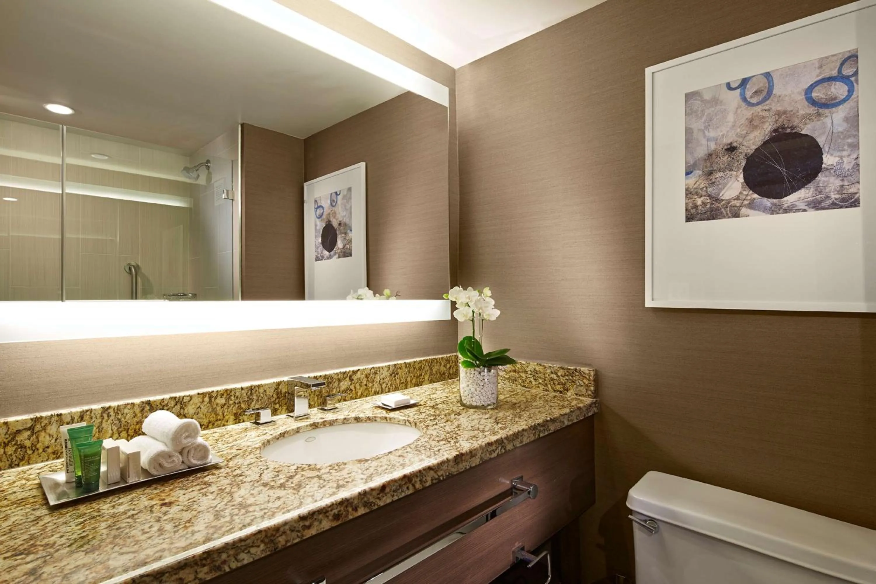 Bathroom in Hilton San Diego Mission Valley