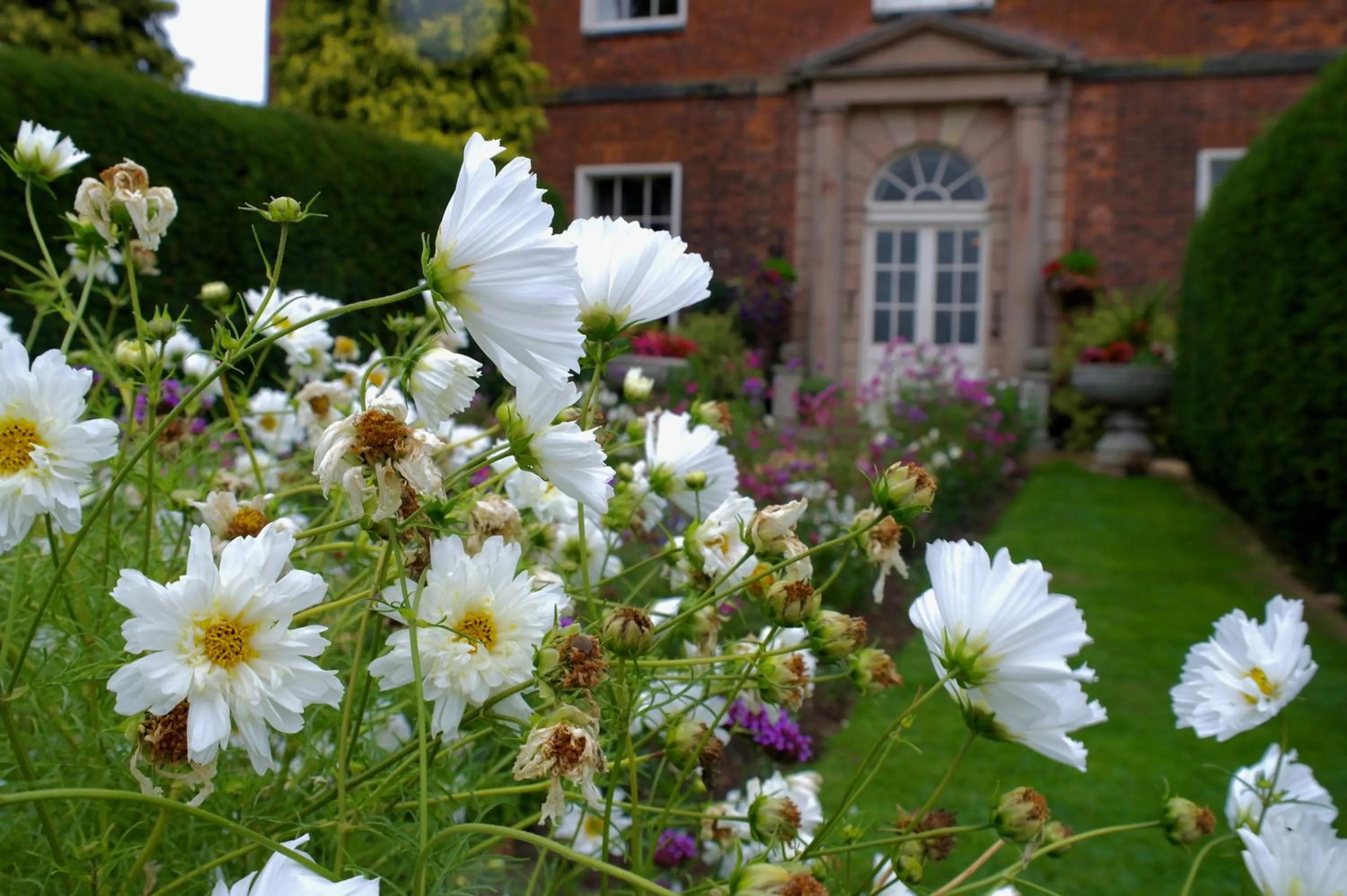 Garden in Dovecliff Hall Hotel