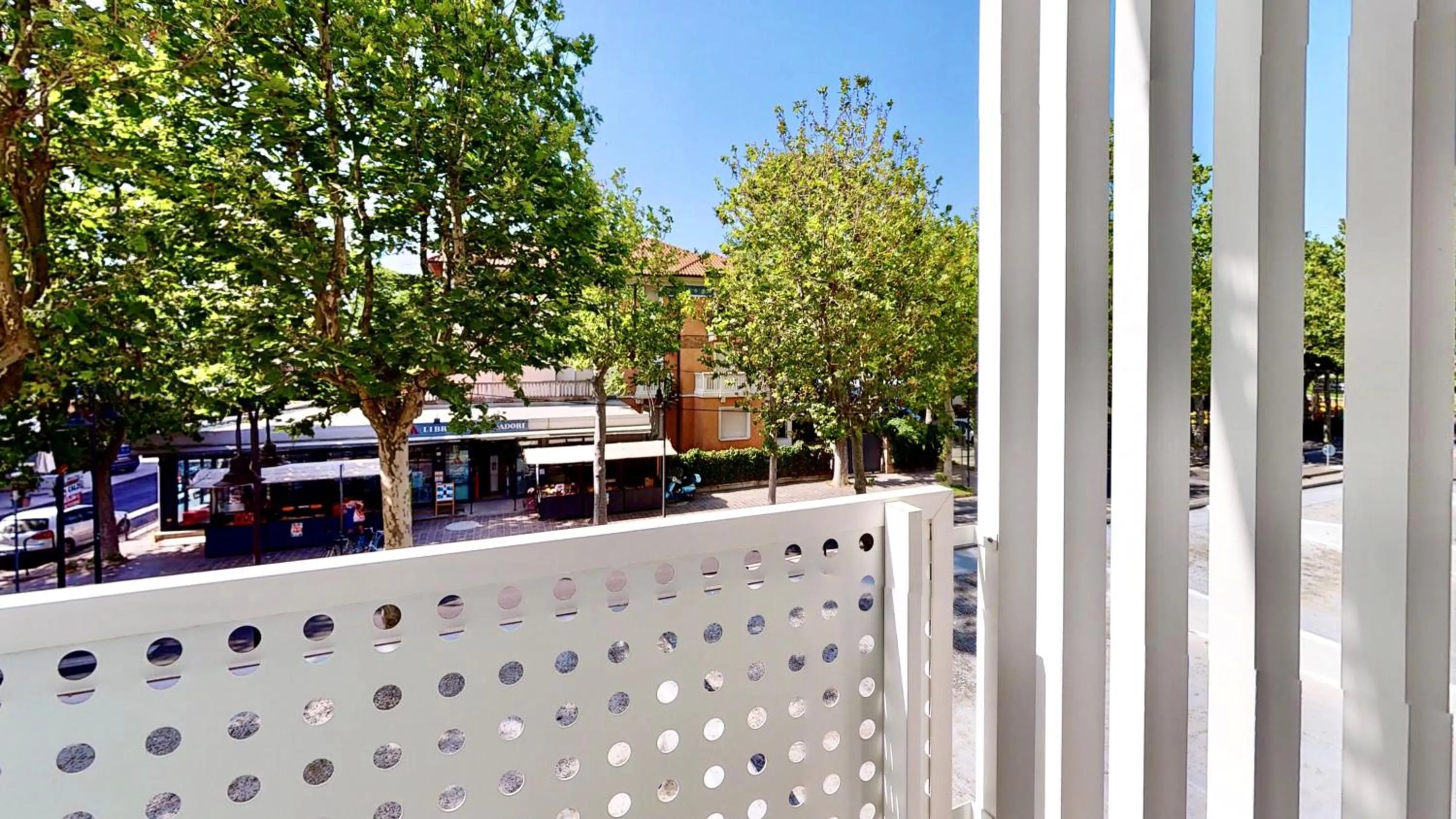 Balcony/Terrace in Hotel Excelsior