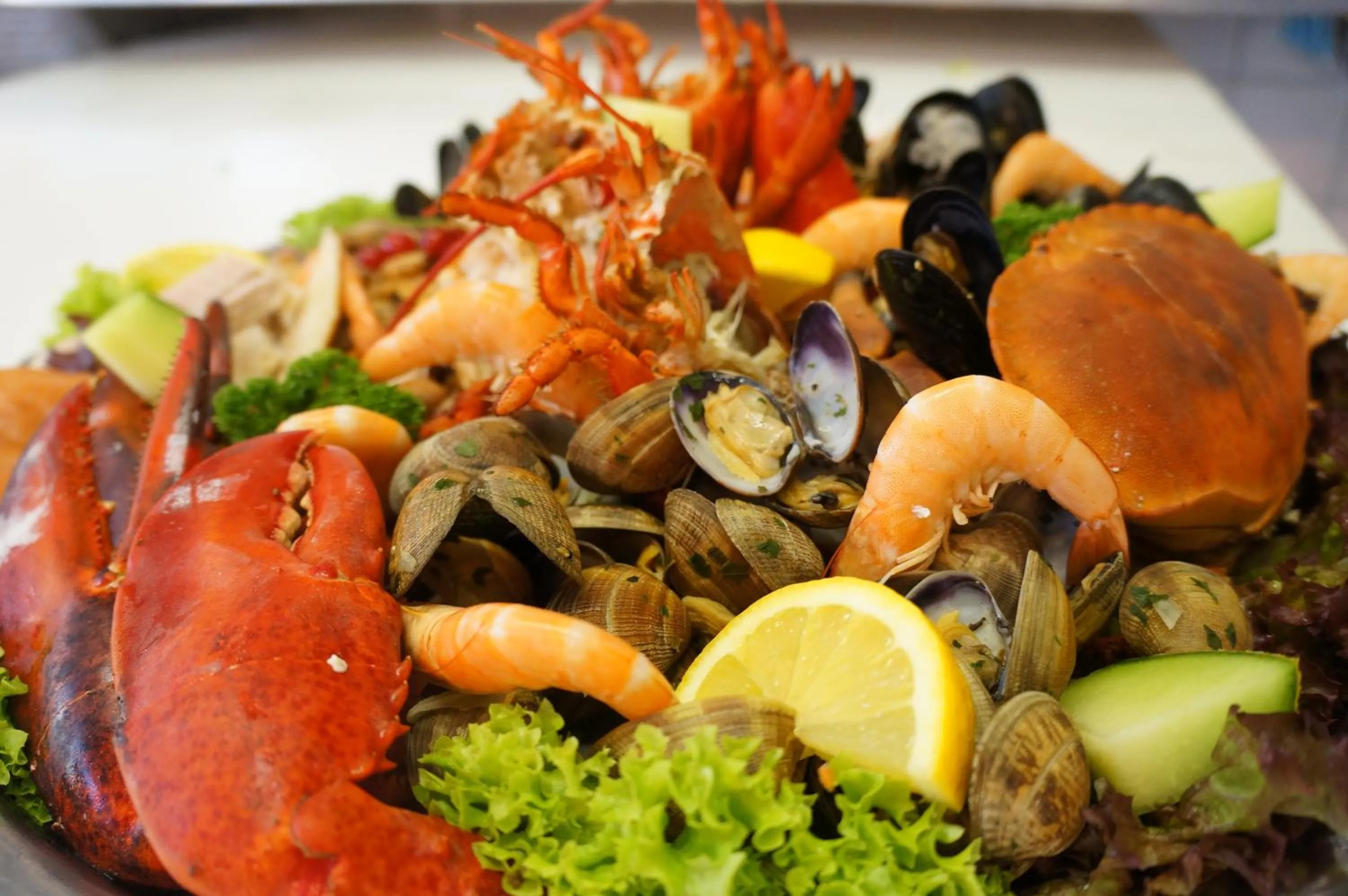 Restaurant/places to eat in B&B Oesterhoeve