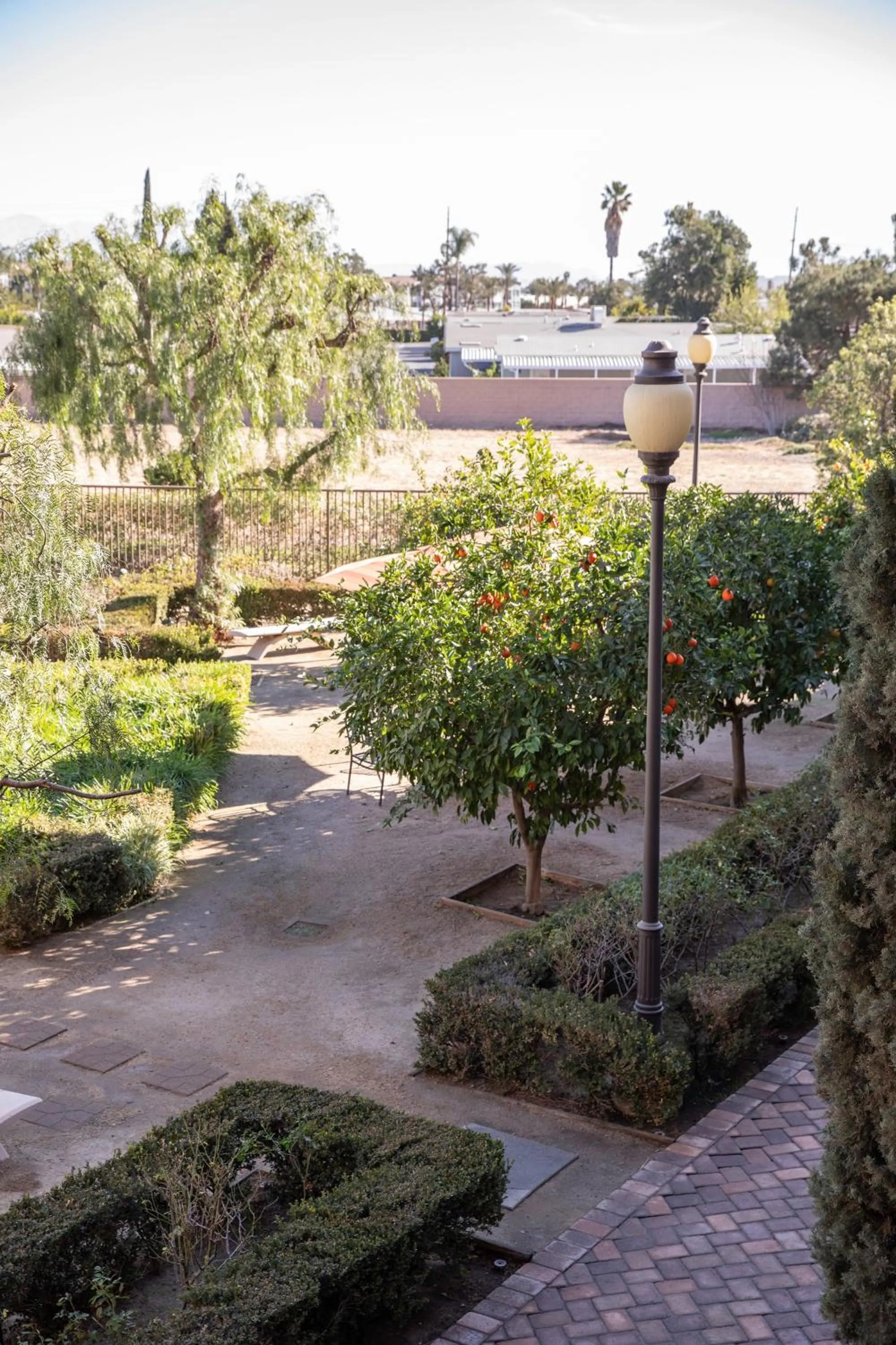 Garden in Ayres Hotel Chino Hills Ontario