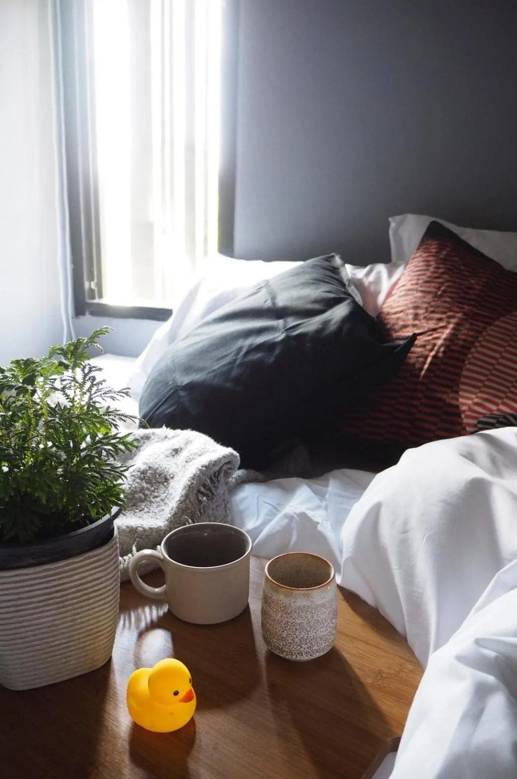 Bed in La Malila Hostel