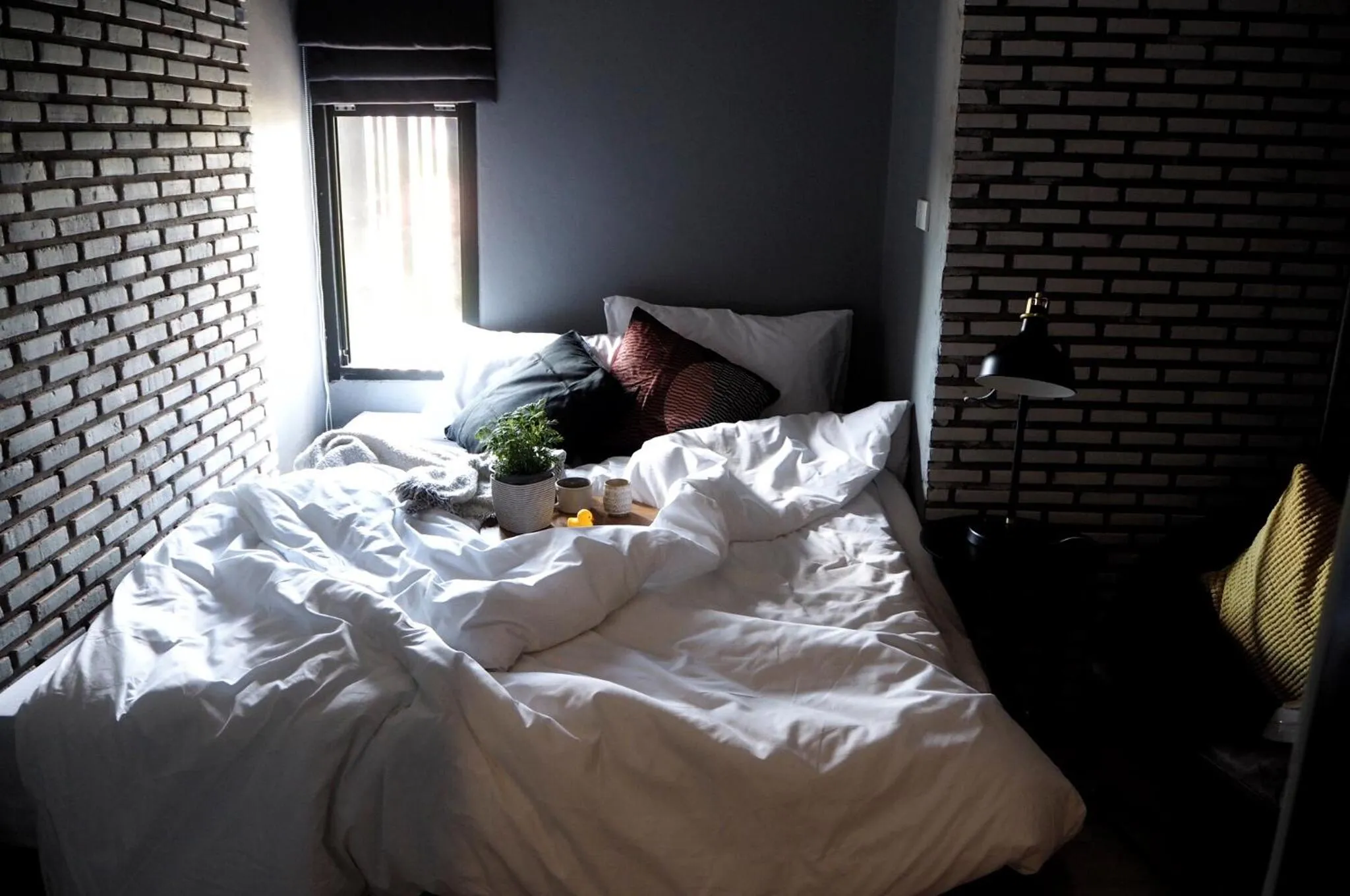 Bed in La Malila Hostel