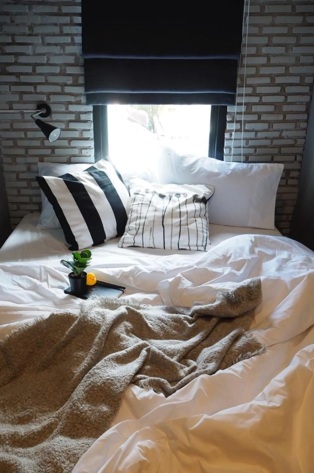 Bed in La Malila Hostel