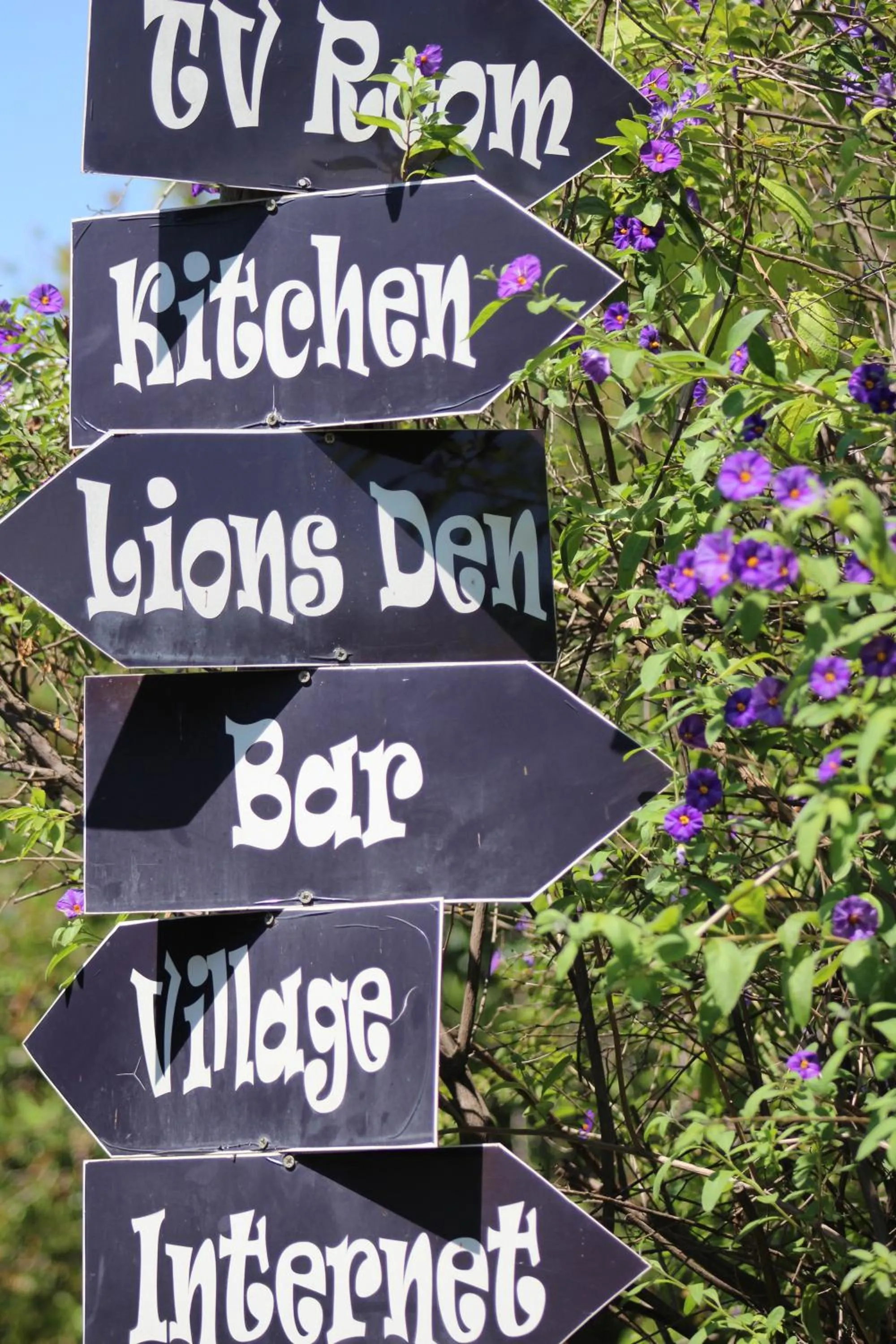 1322 Backpackers International