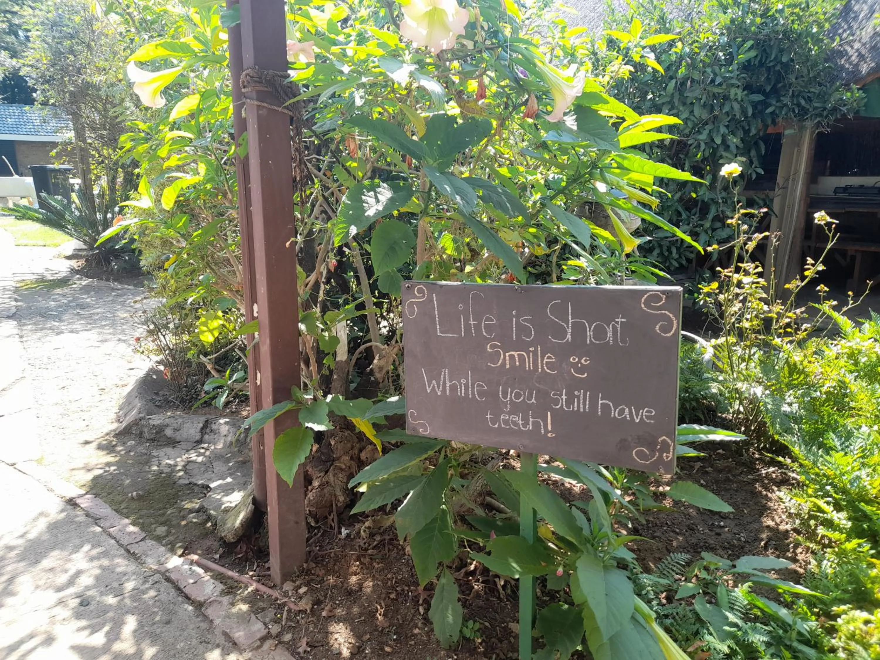 1322 Backpackers International