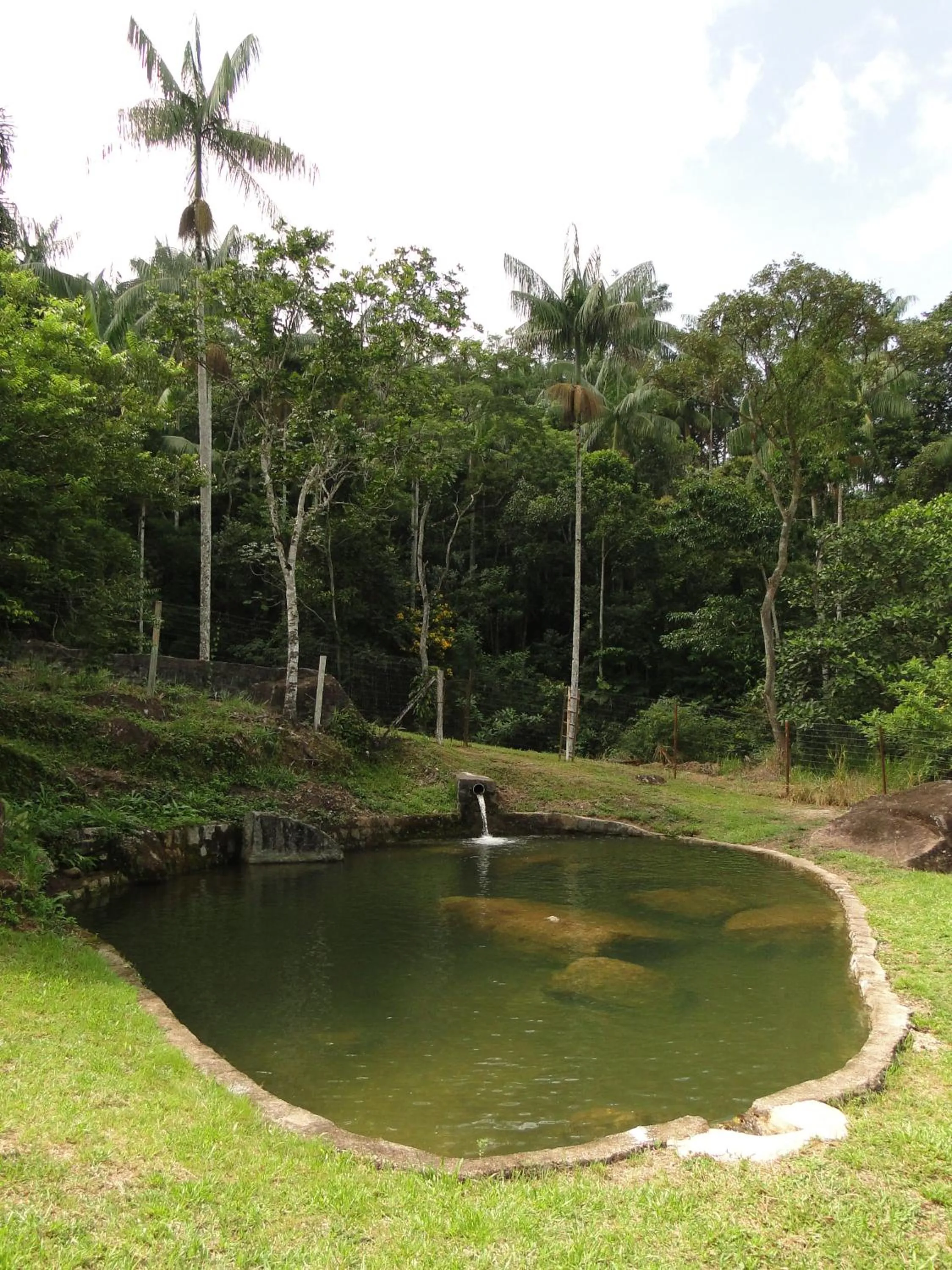 Natural landscape in Hotel Chalés Terra Nova