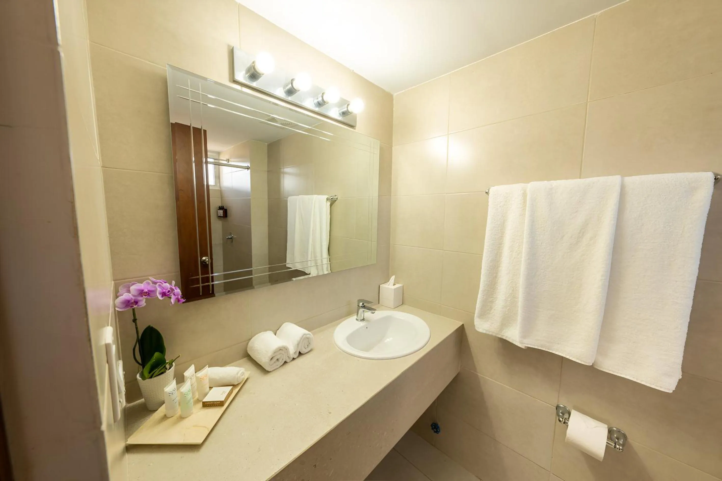 Bathroom in Hotel Faranda Express Soloy and Casino, a member of Radisson Individuals