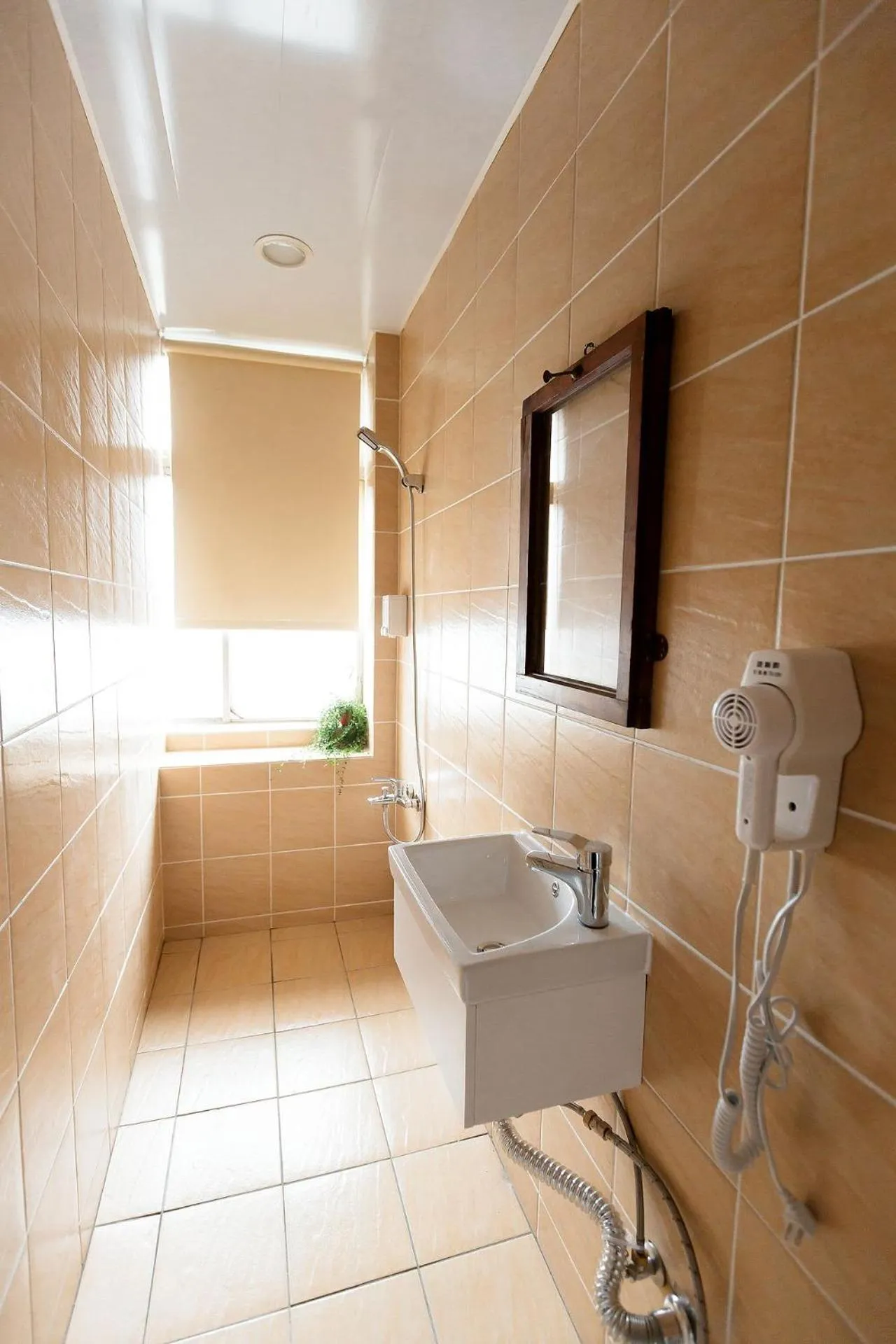 May Rooms Taipei NTU