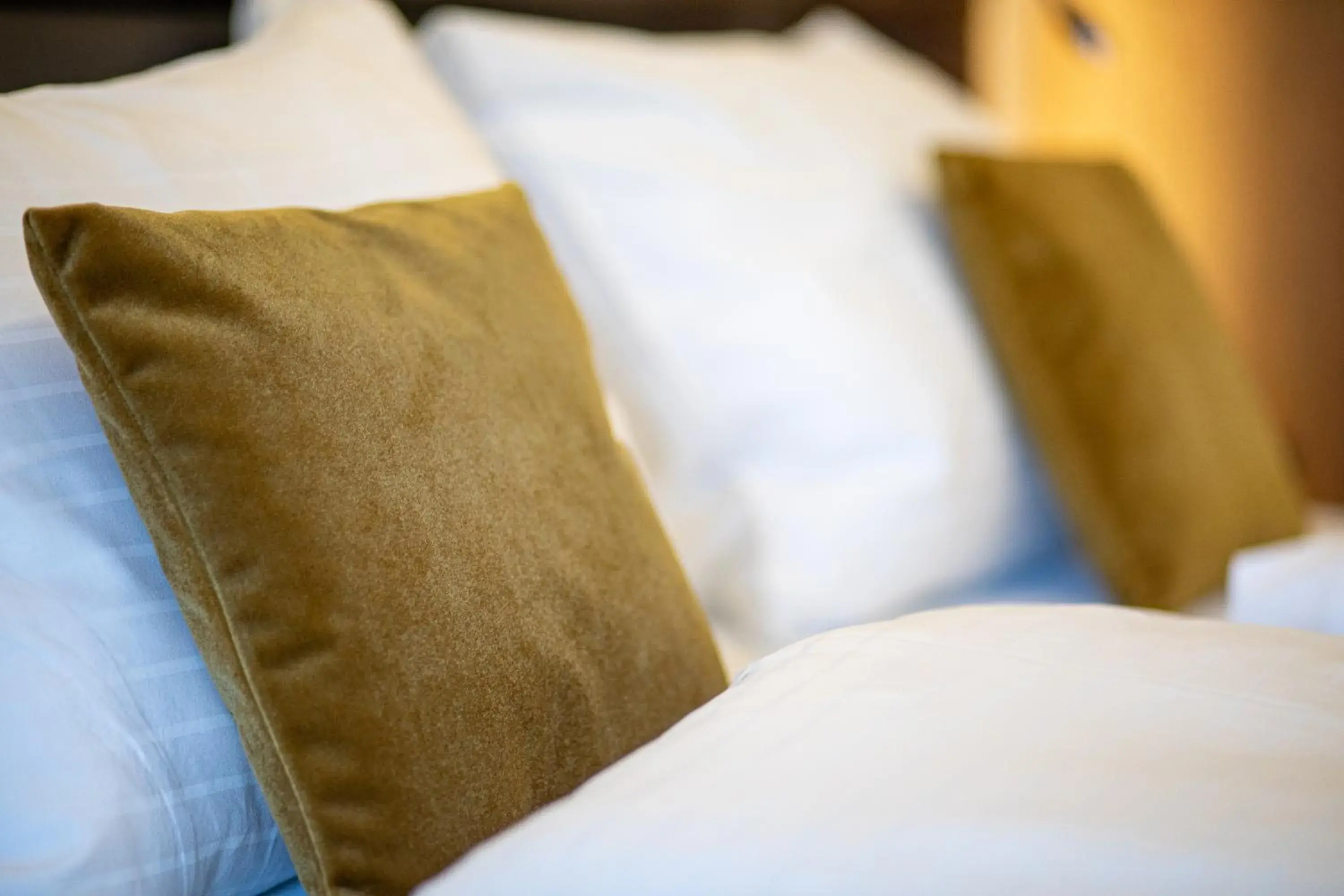 Double Room - single occupancy in Hotel Böhlerstern Double Room - single occupancy in Hotel Böhlerstern