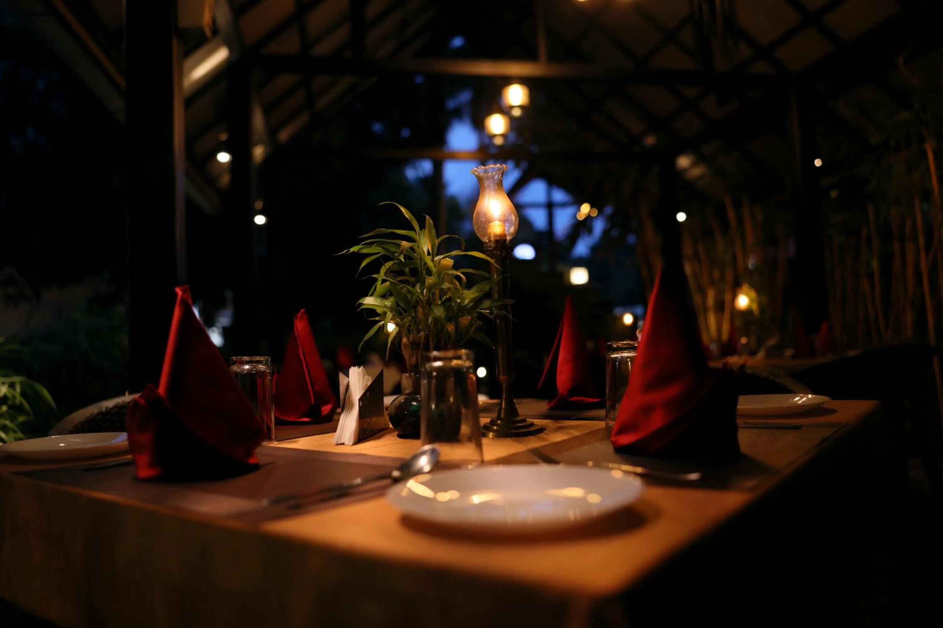 Ideal Ayurvedic Resort Kovalam