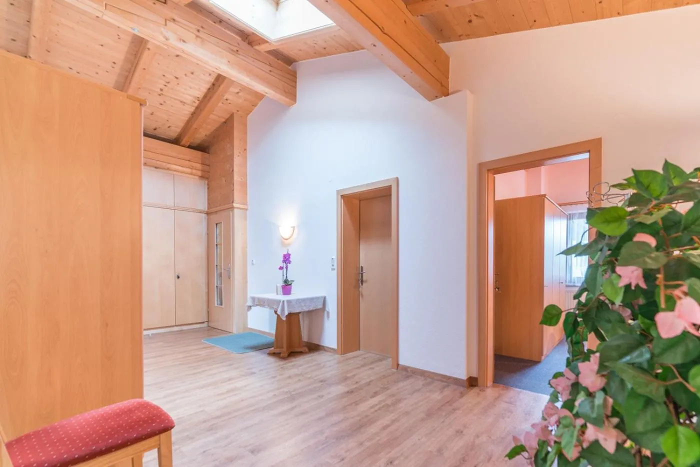 Area and facilities in Appartement Nicola