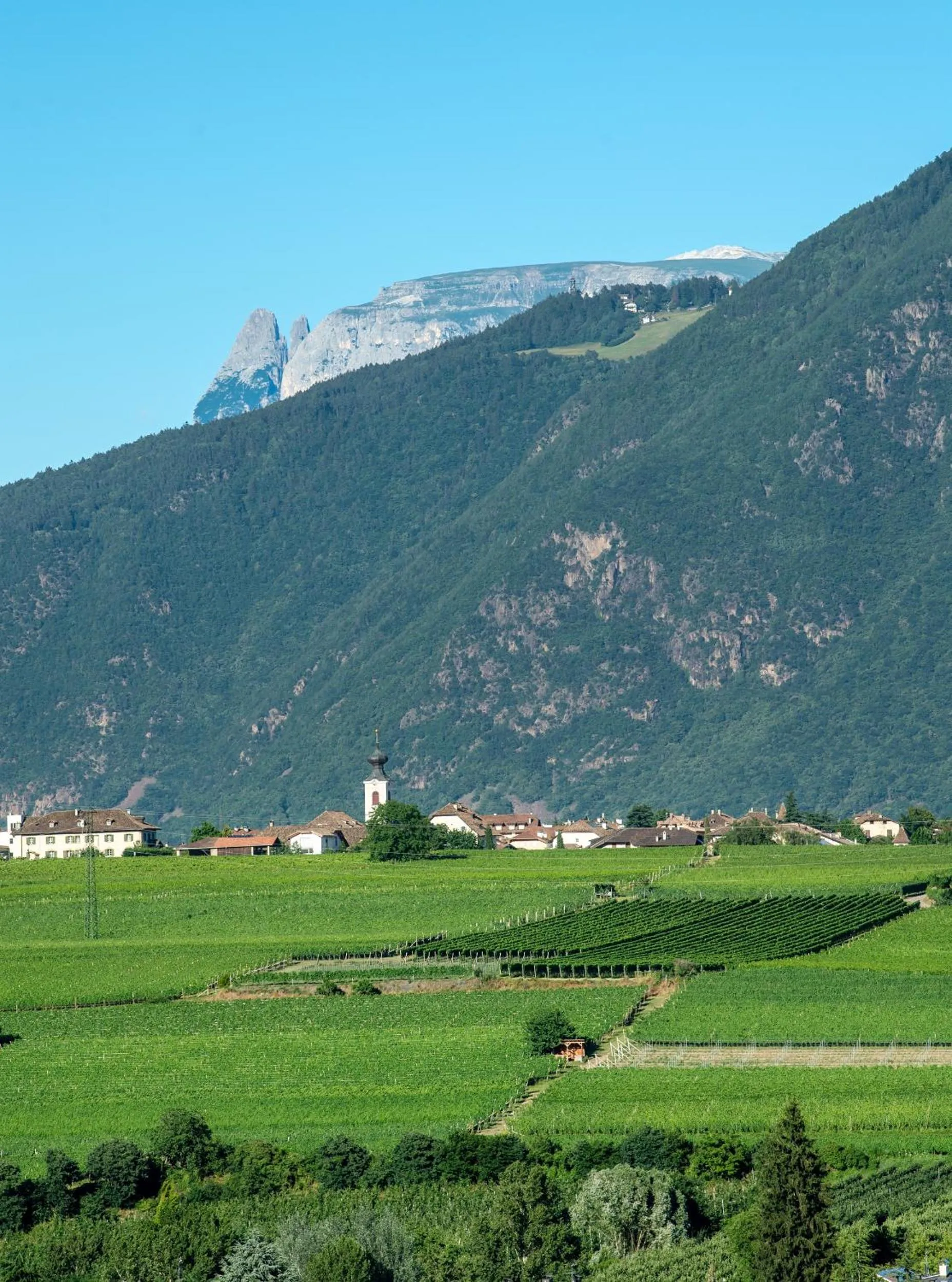 View (from property/room) in Hotel Christof