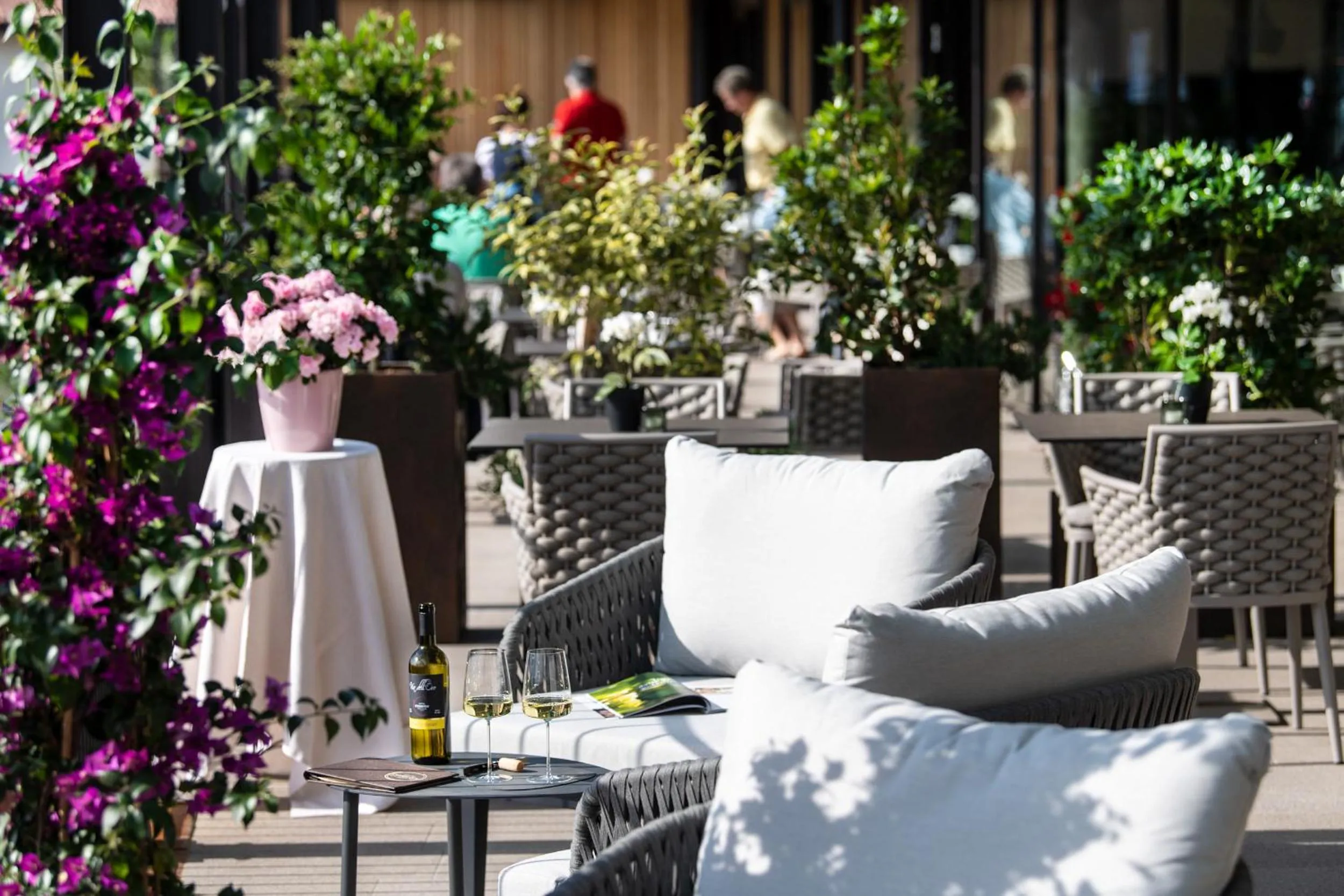 Balcony/Terrace in Hotel Christof