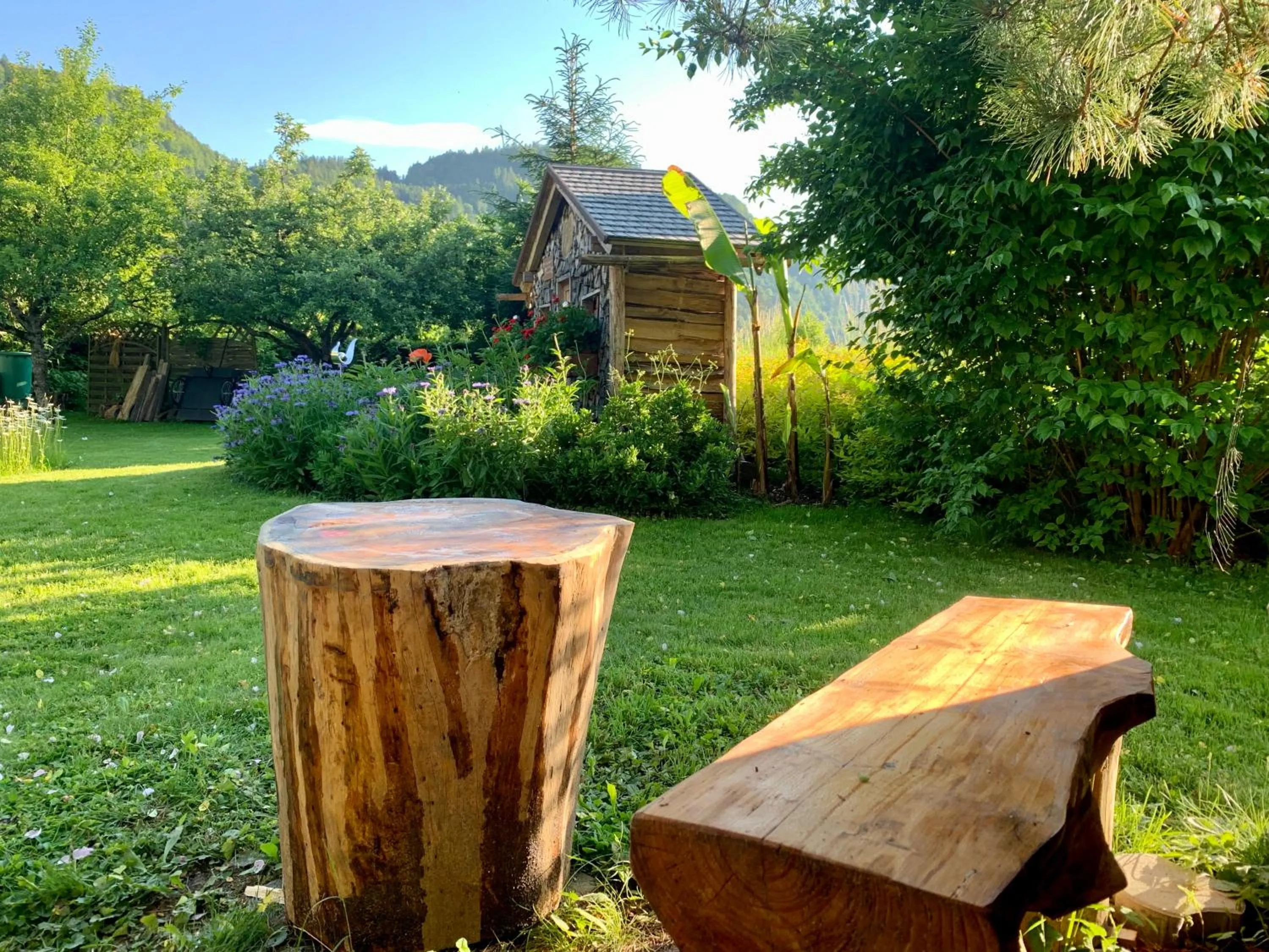 Garden in FeWo Leeb