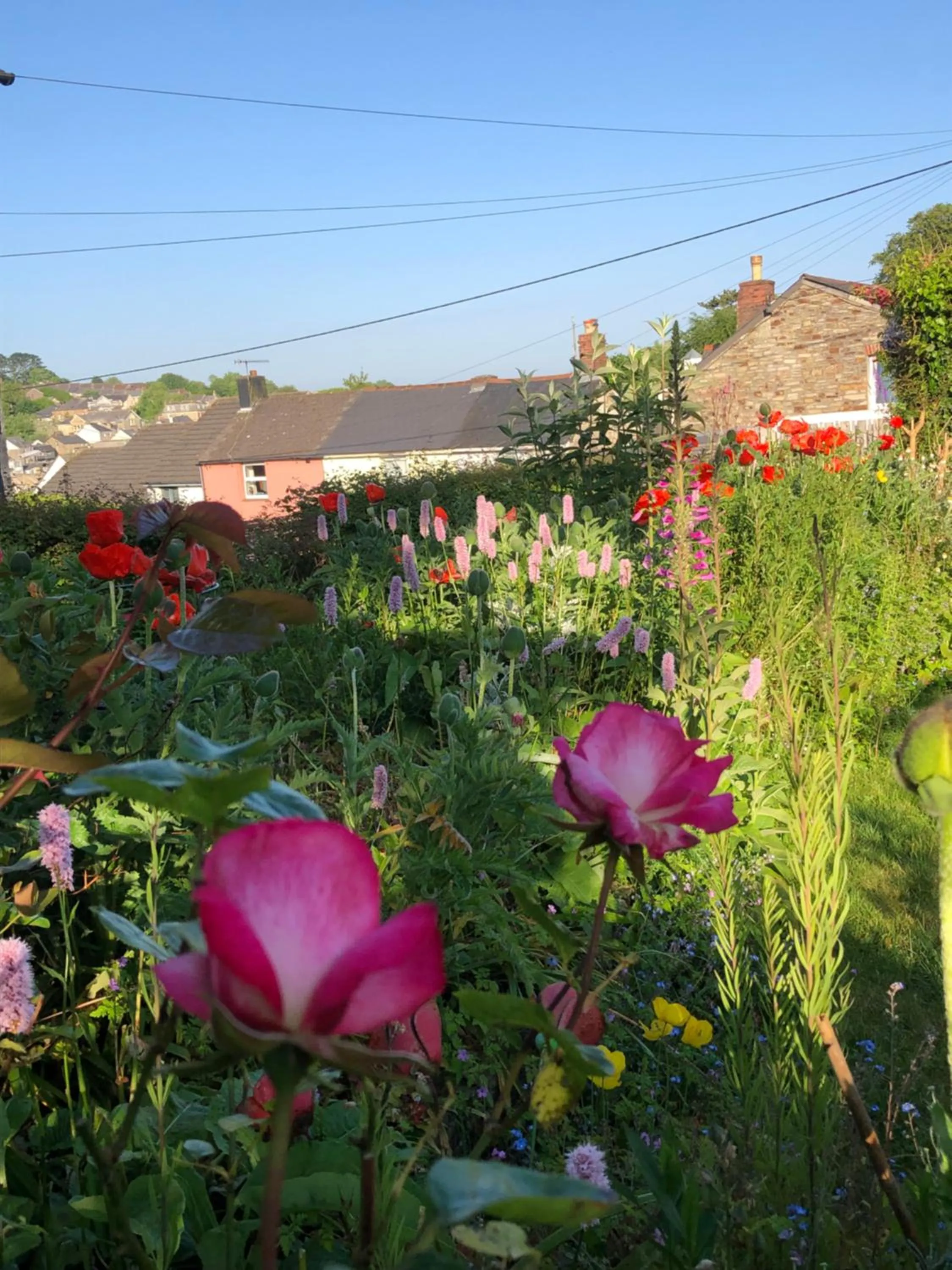 Garden in Priory Cottage Bodmin