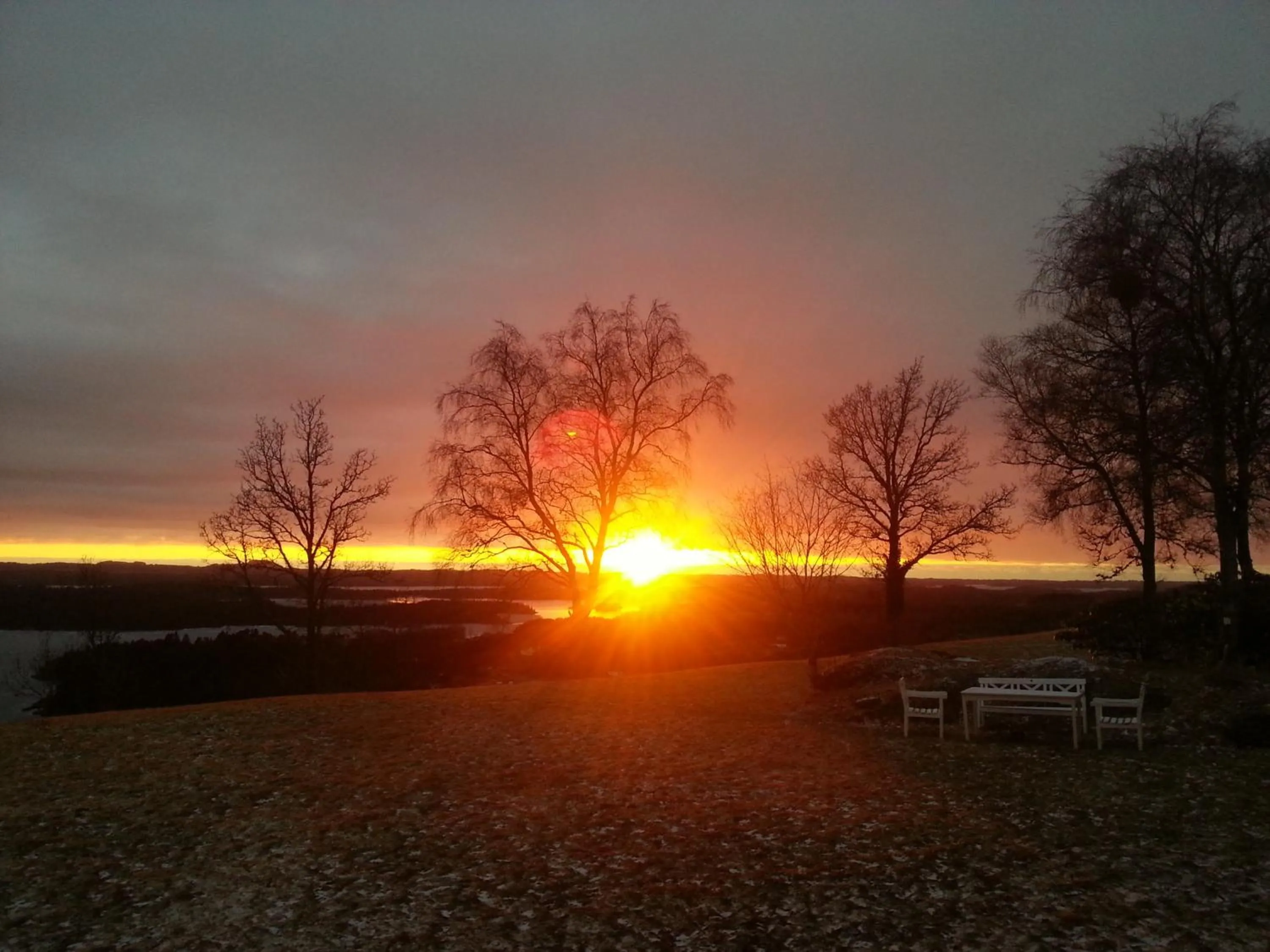 Garden in Westland Hotel
