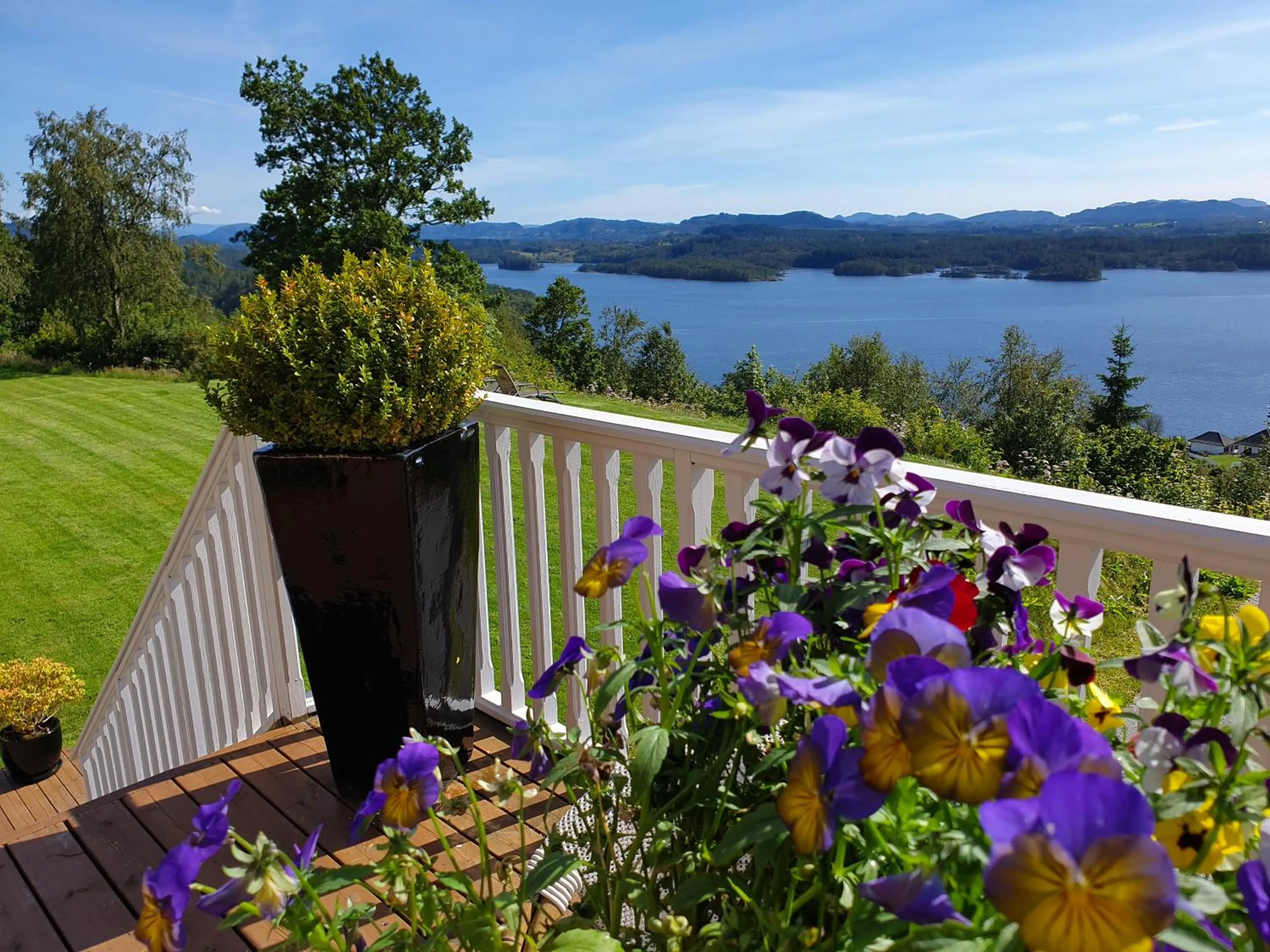 Summer in Westland Hotel