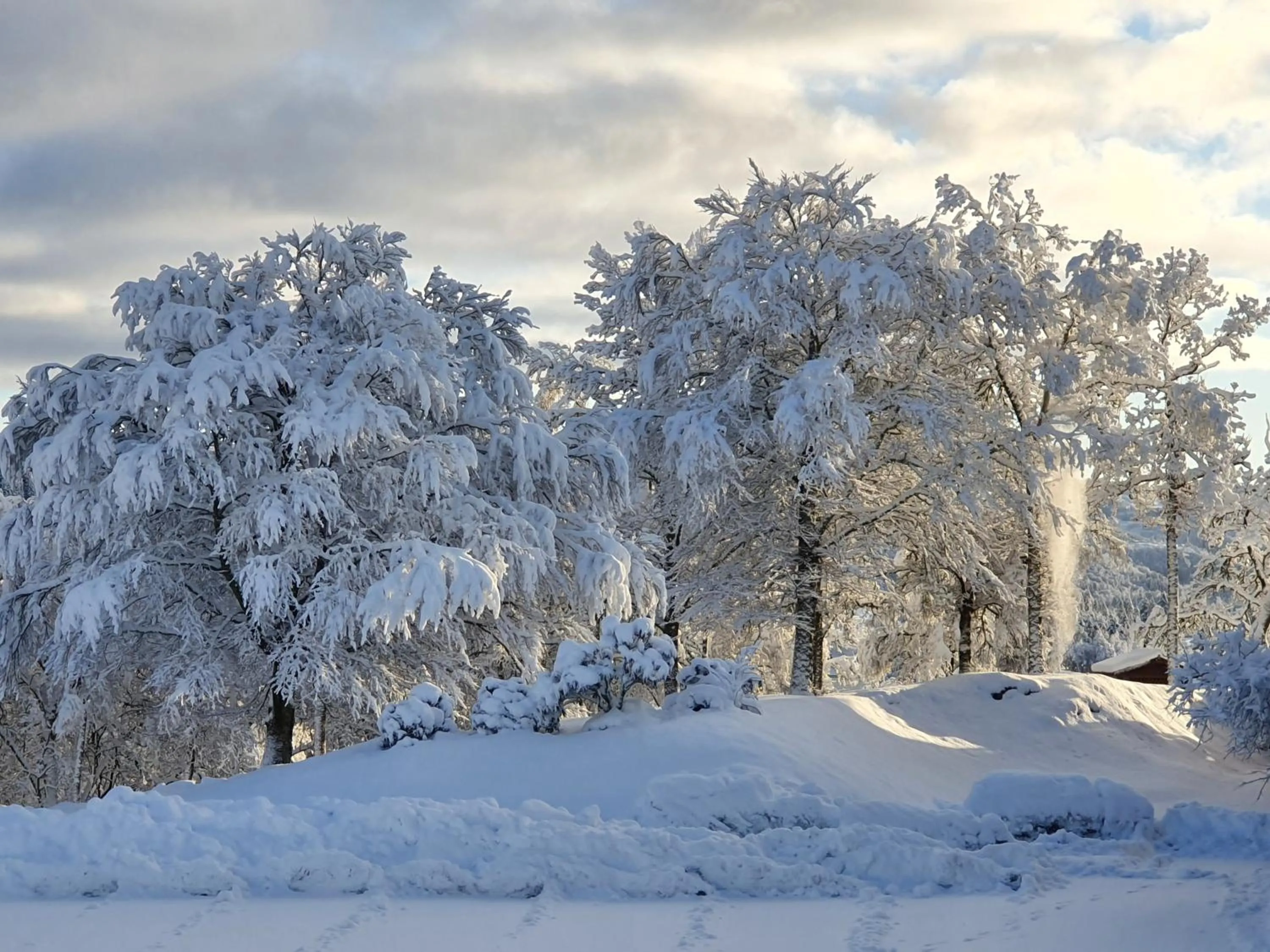 Natural landscape in Westland Hotel