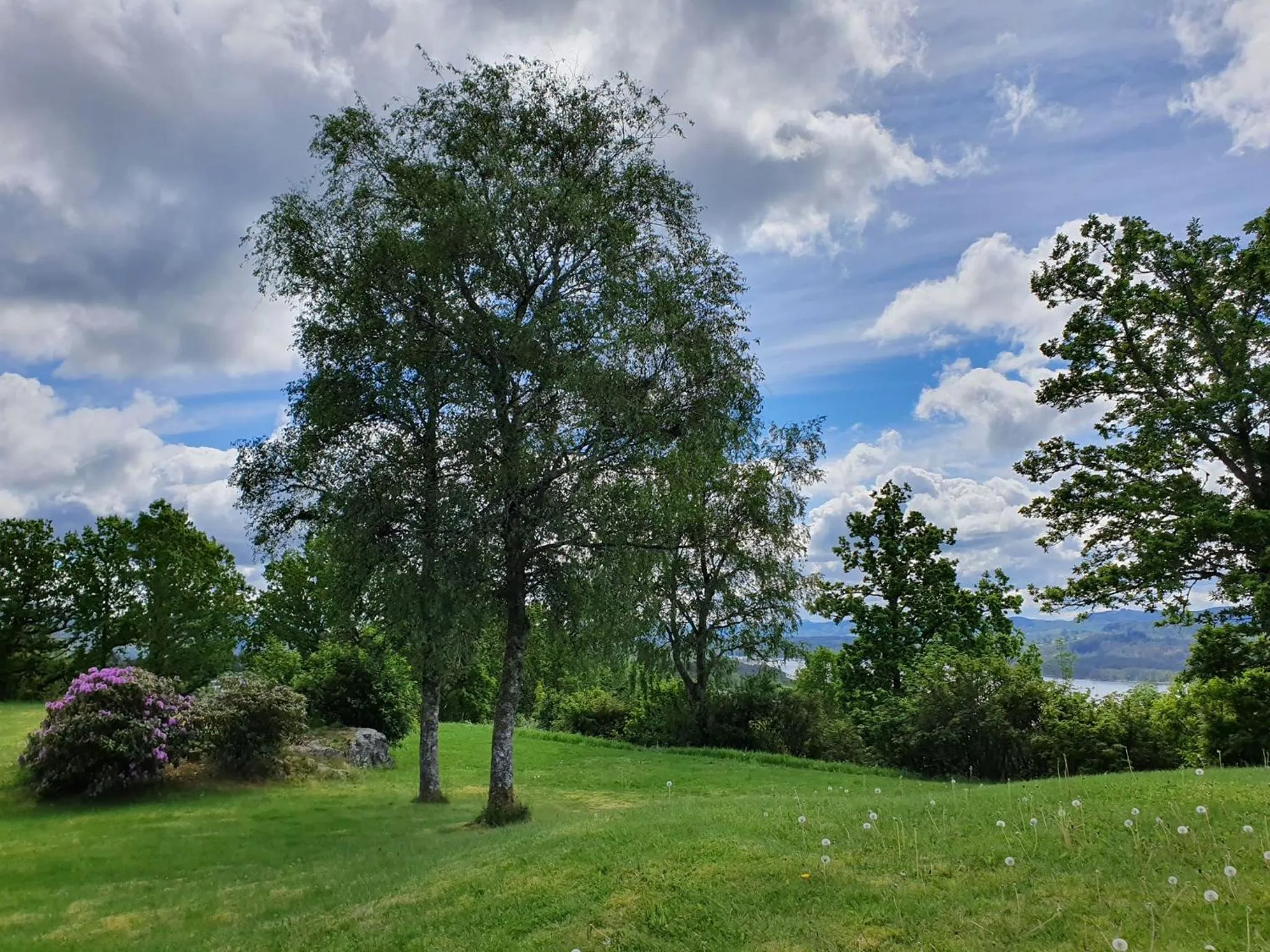 Garden in Westland Hotel