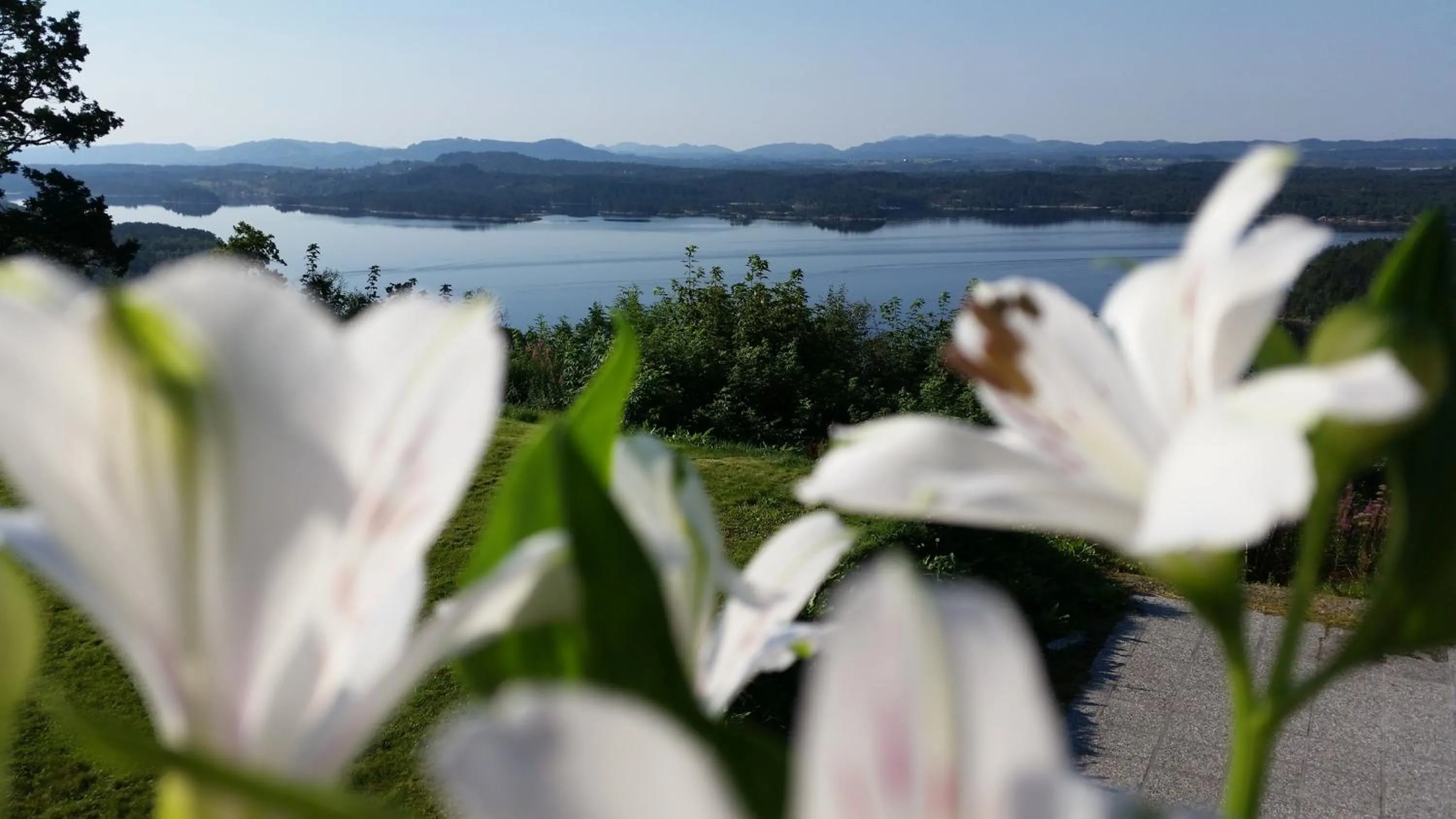 Sea view in Westland Hotel