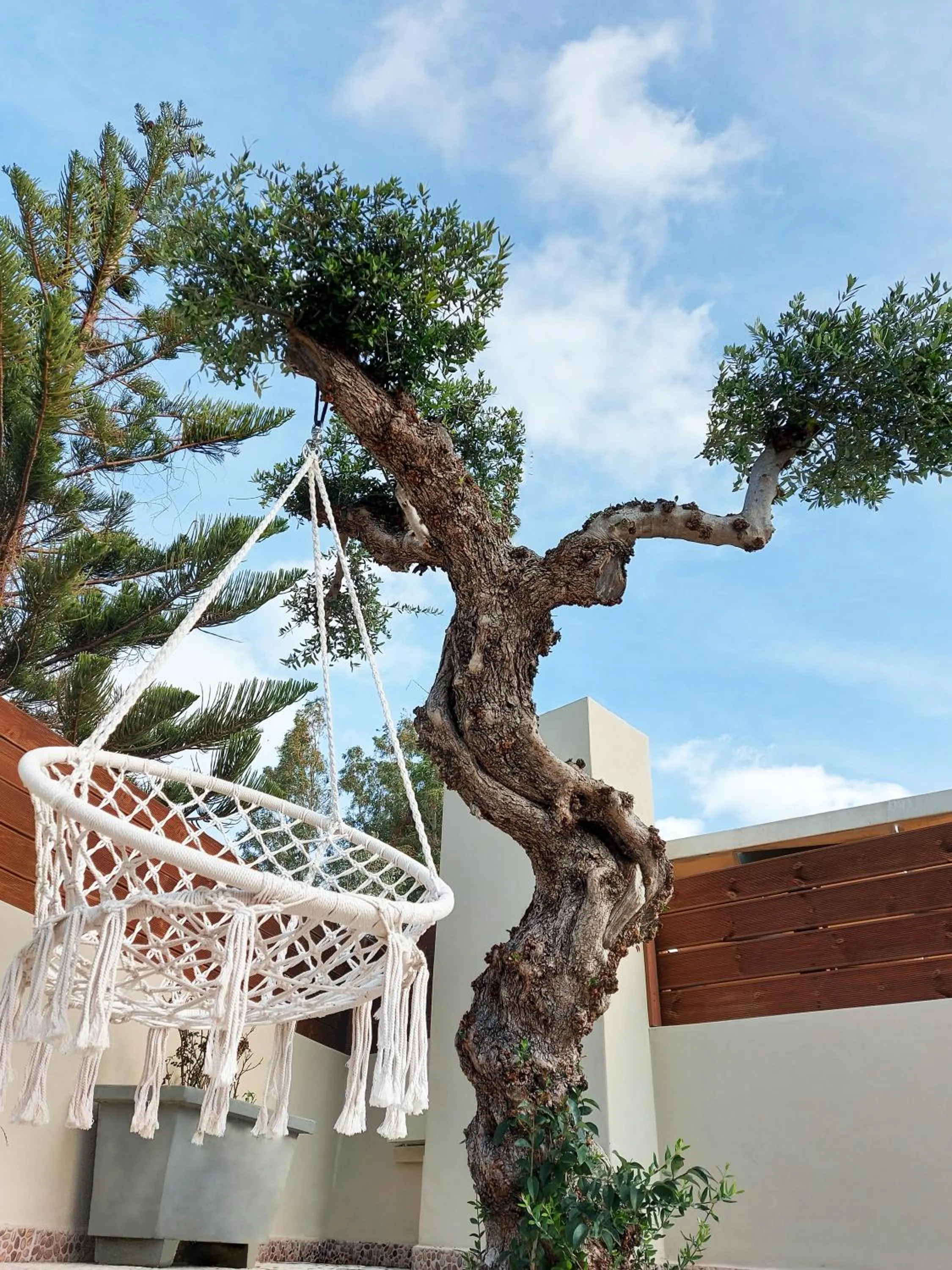 Garden in Coral Villa