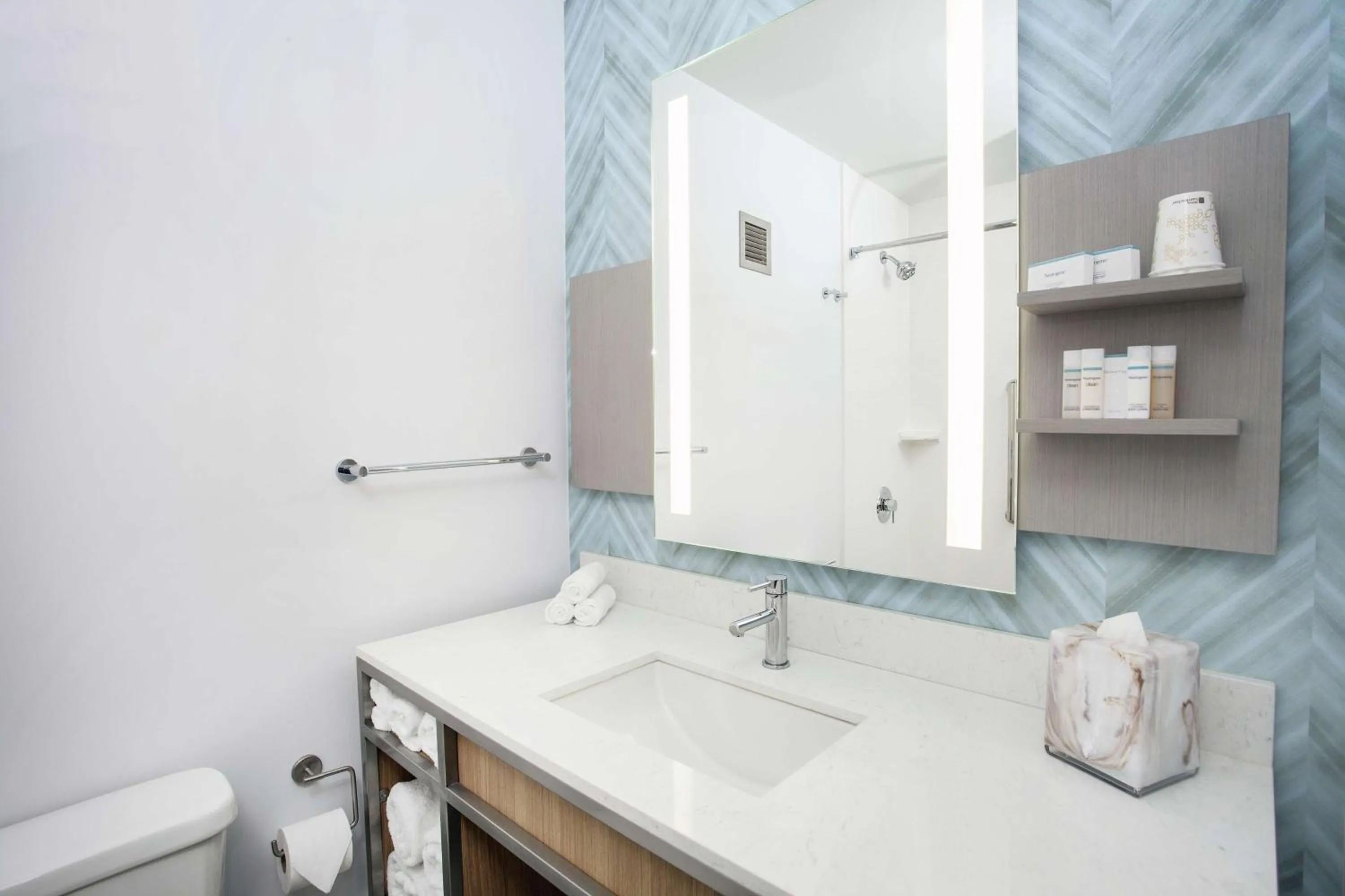 Bathroom in Hilton Garden Inn Evanston