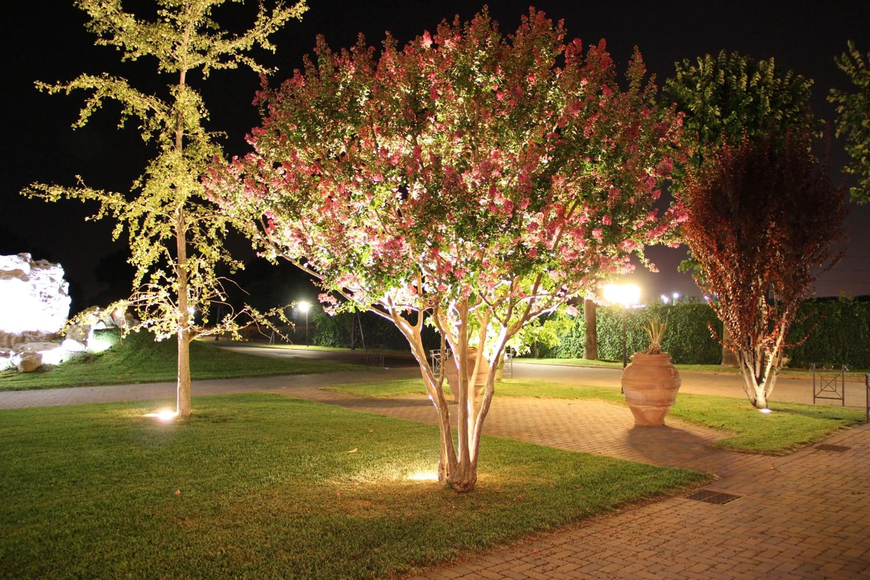 Garden in Albergo Aurora