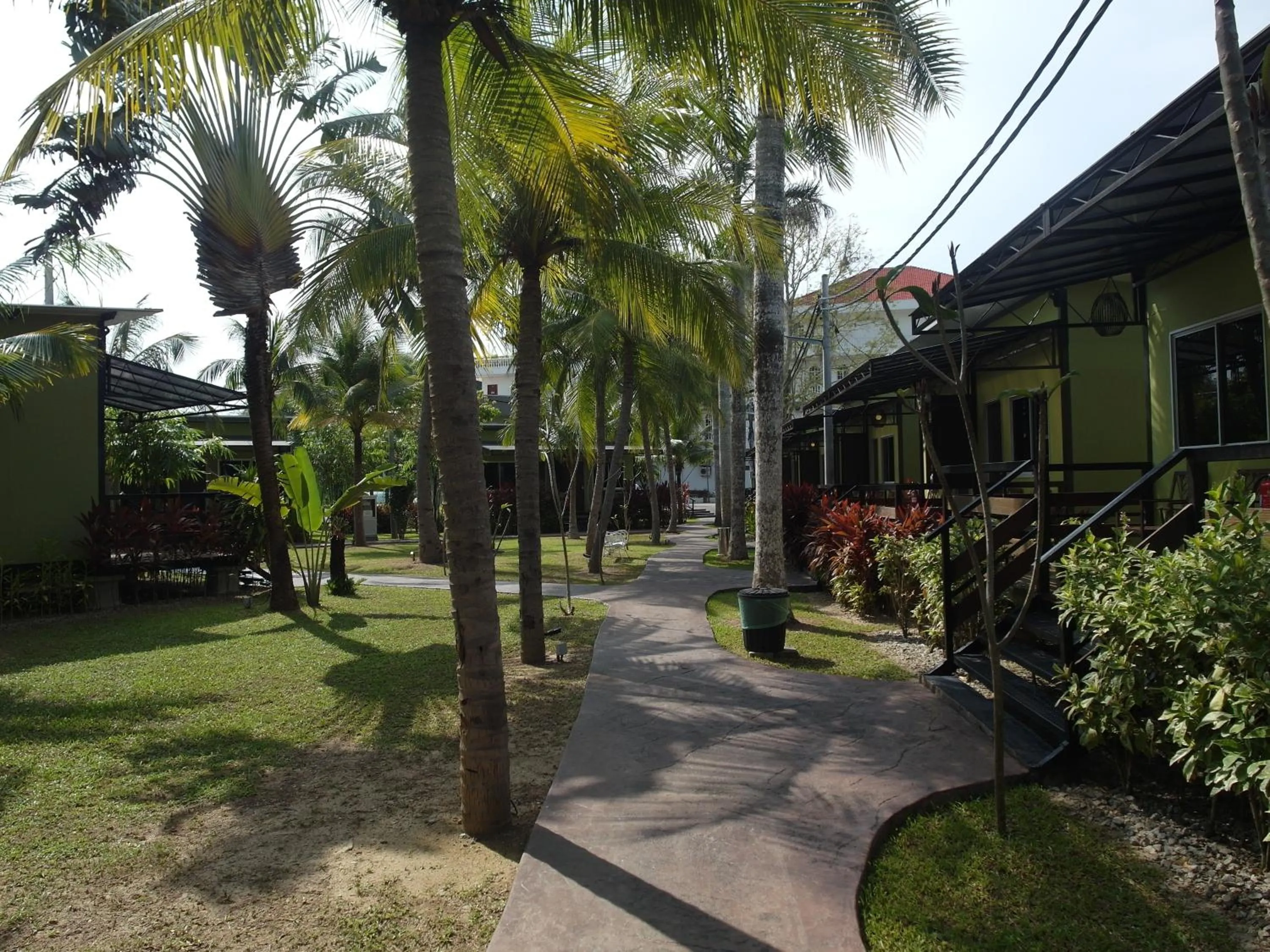 Day in Casa Fina Fine Homes