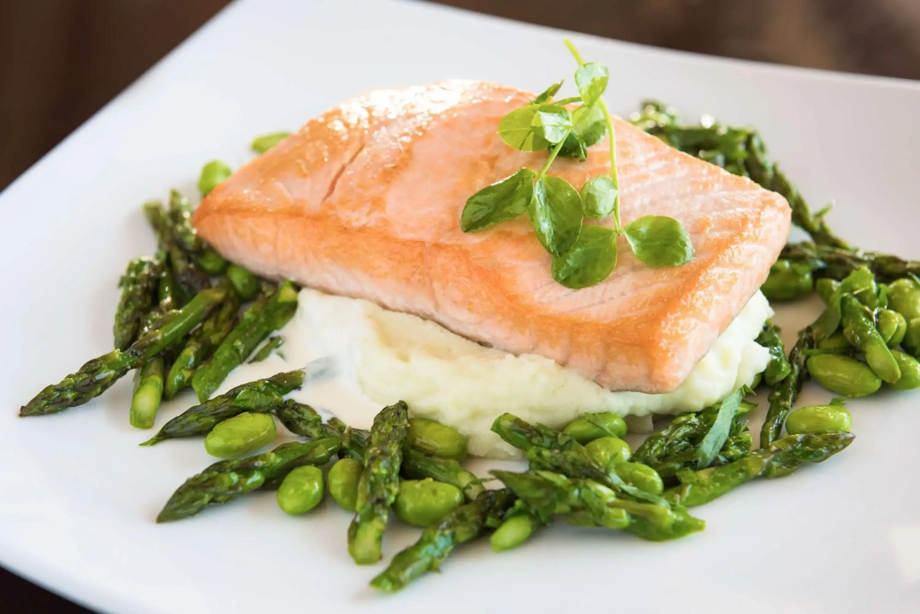 Restaurant/places to eat in Hilton San Diego Airport/Harbor Island Restaurant/places to eat in Hilton San Diego Airport/Harbor Island