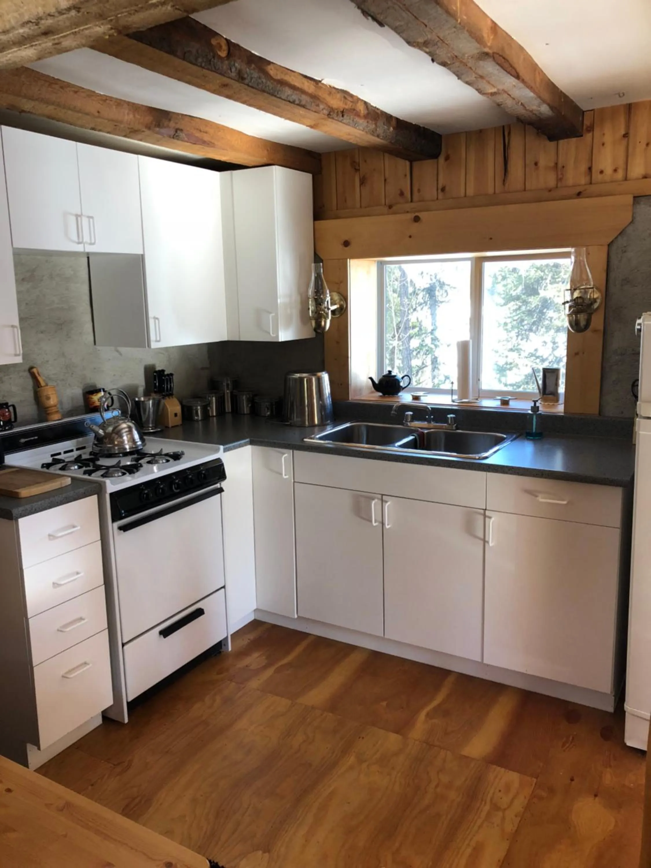 Kitchen or kitchenette in Vines and Puppies Hideaway