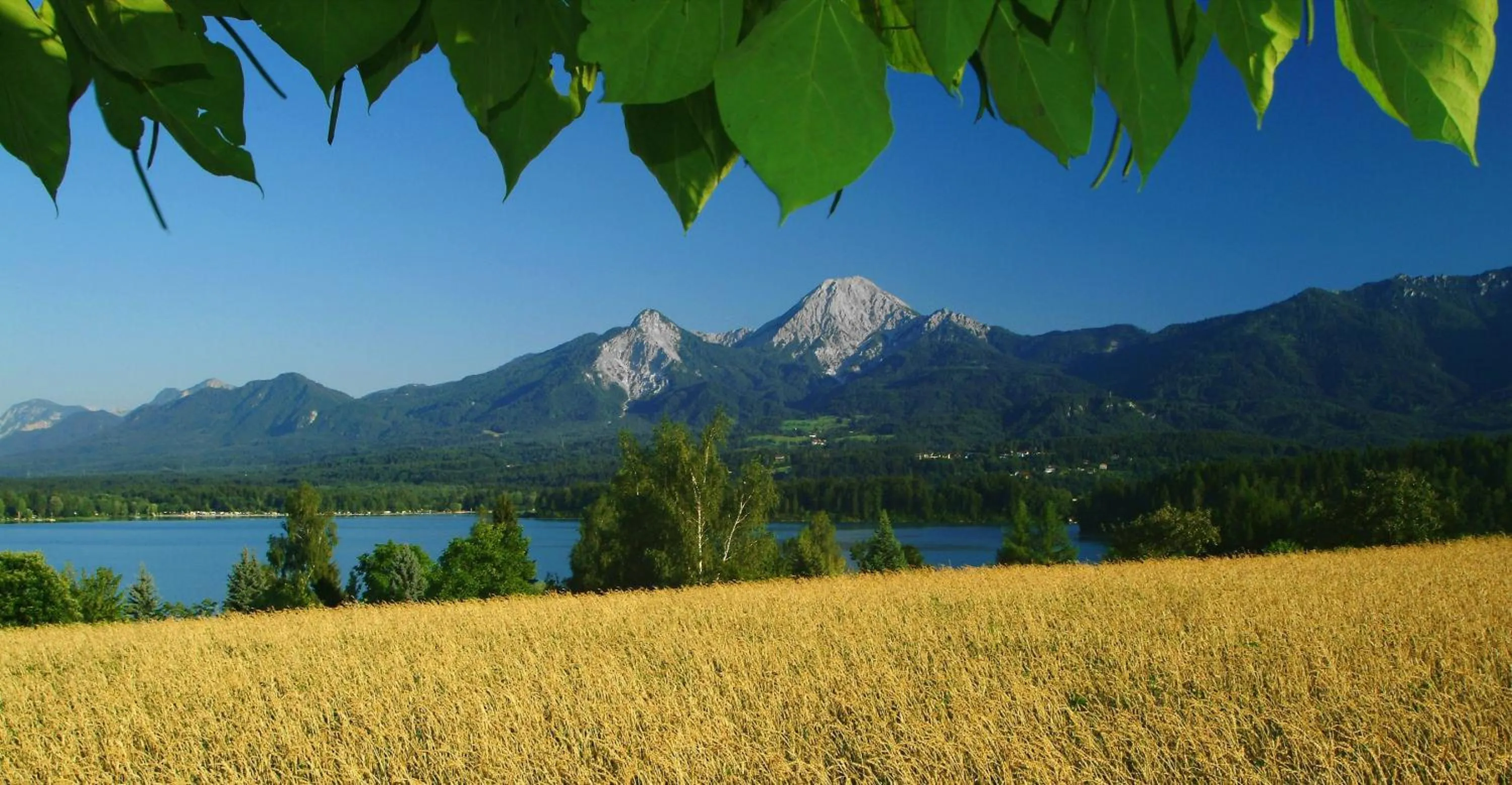 Area and facilities in Hotel-Pension Melcher