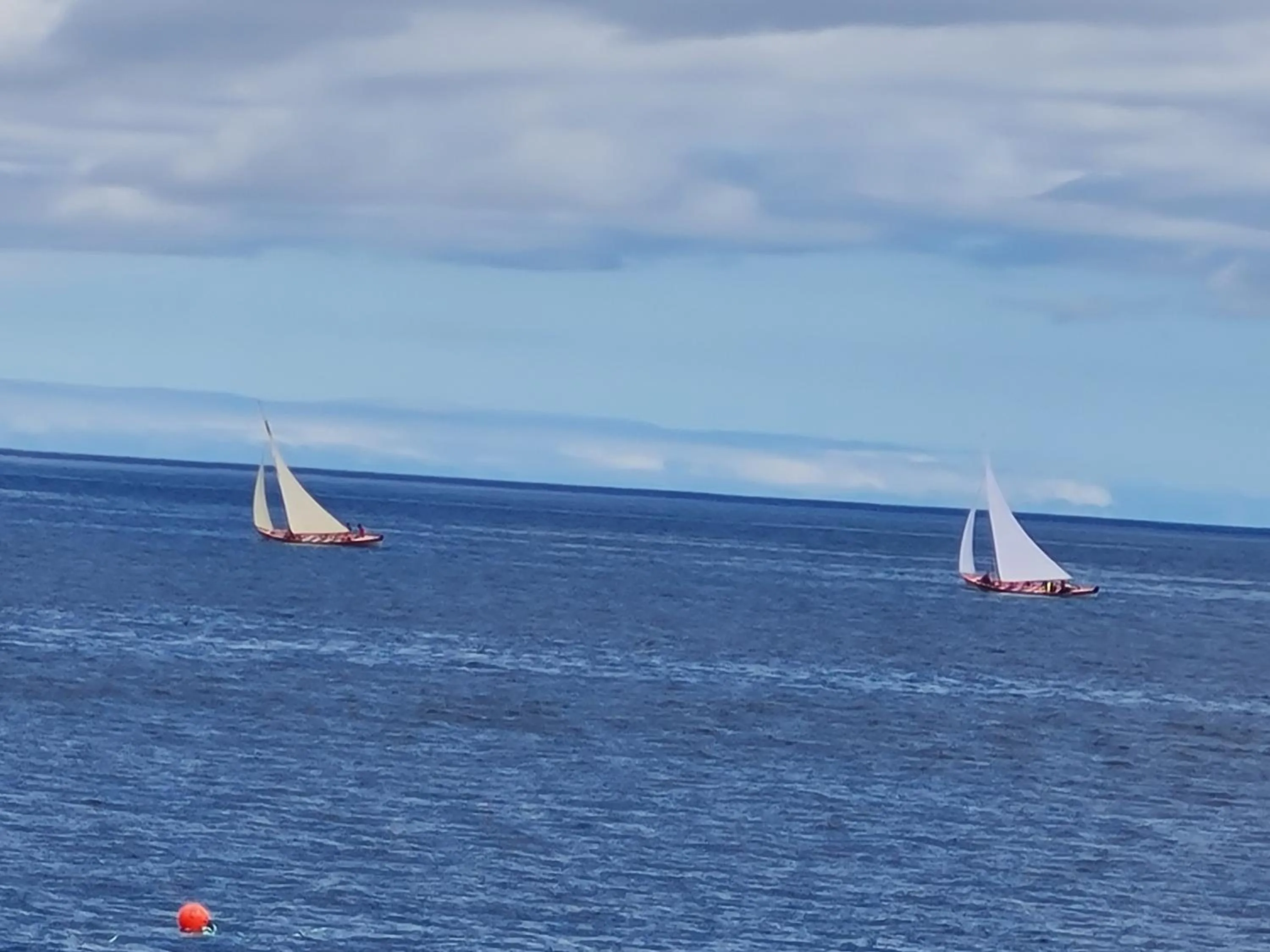 Sea view in Casa da Ribeira