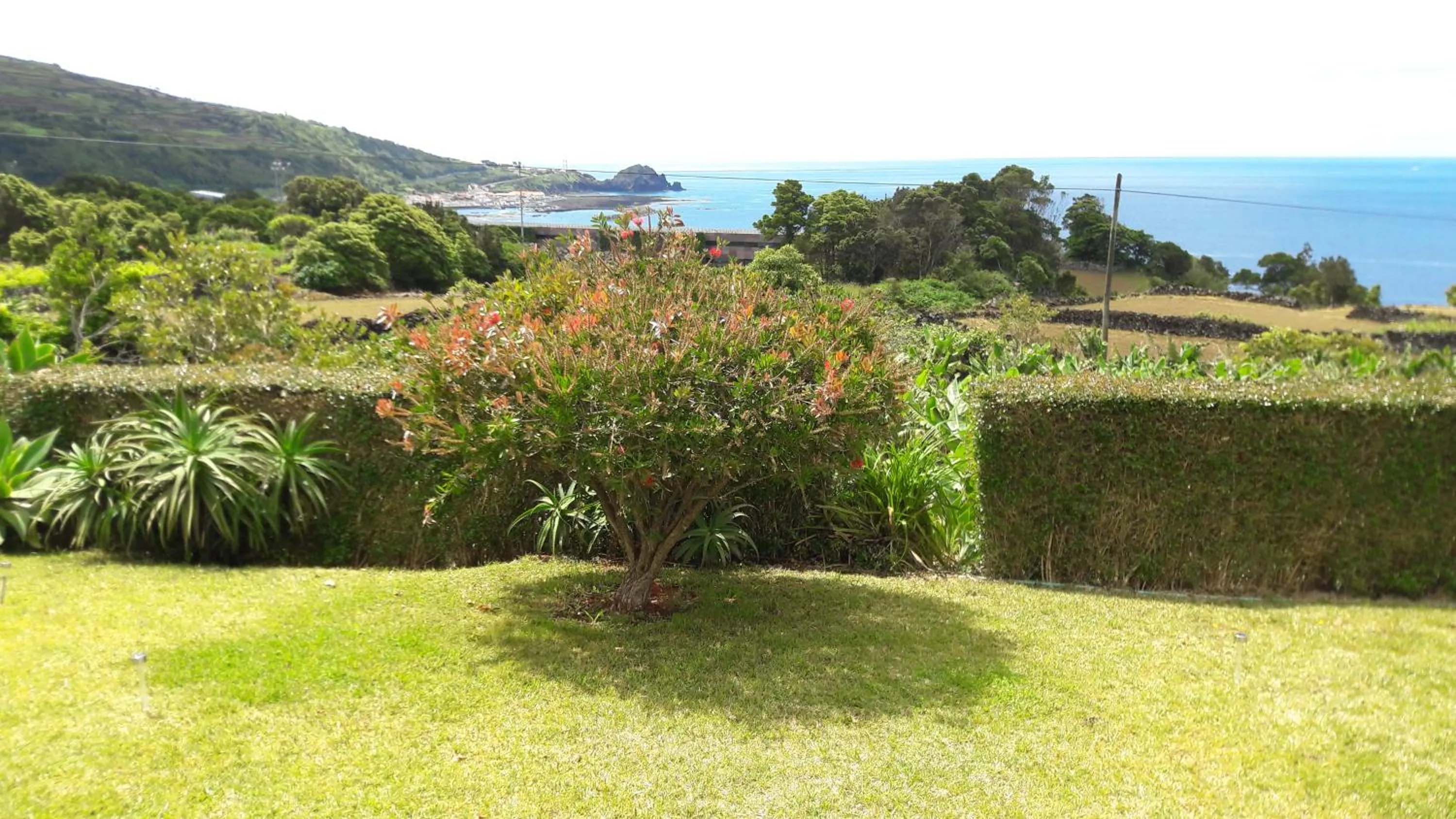 Garden in Casa da Ribeira